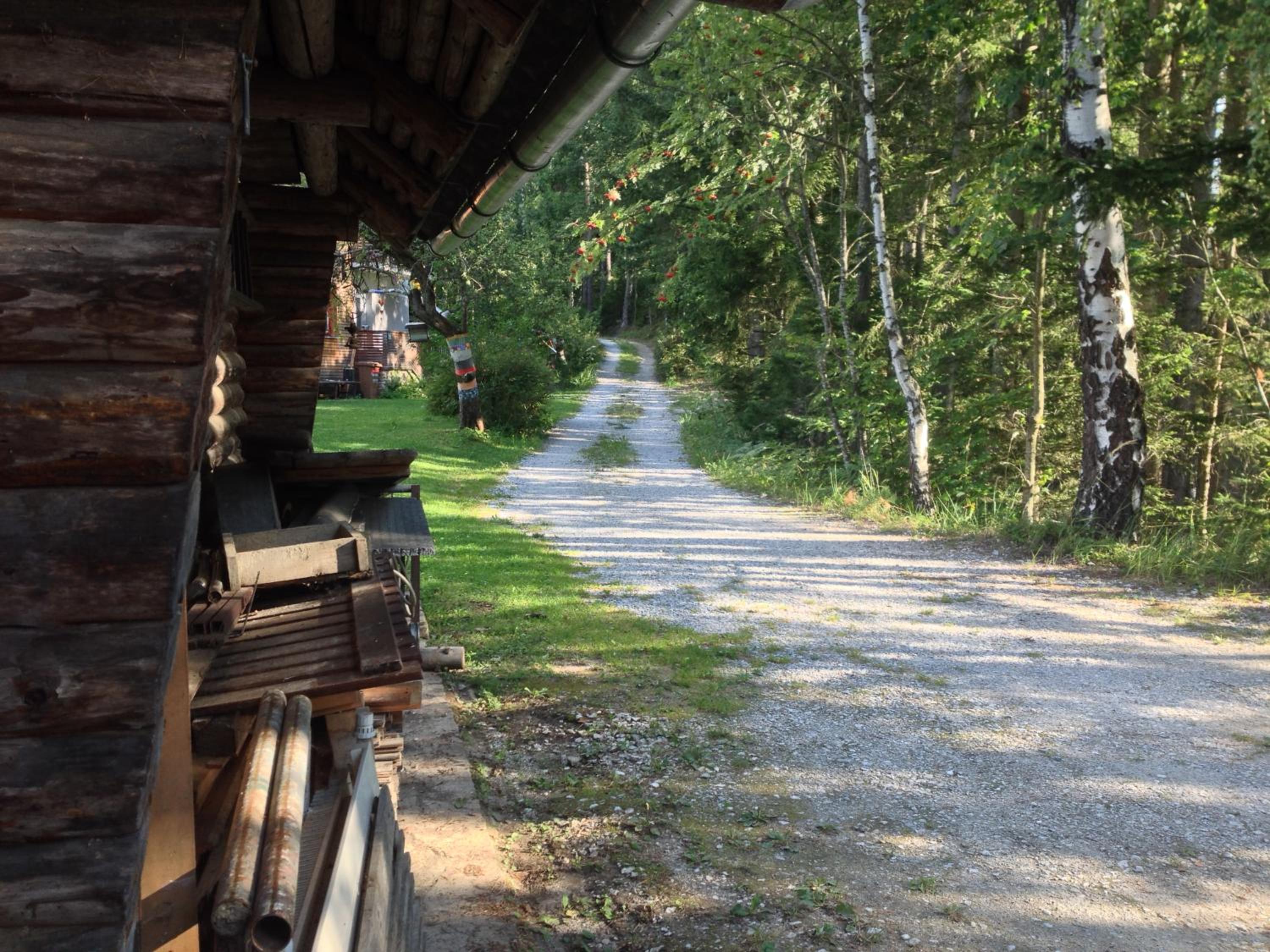 Ferienhaus im Wald