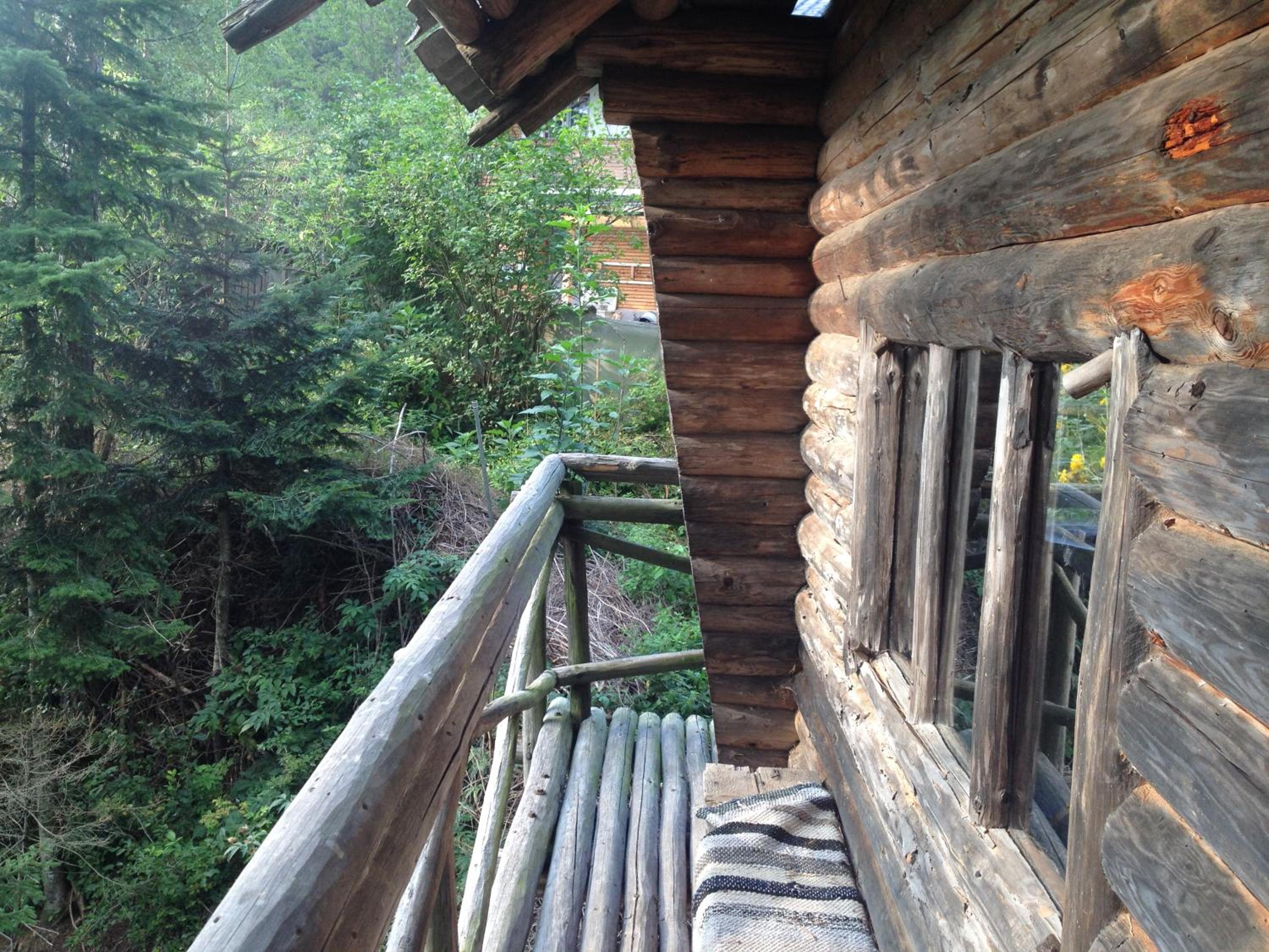 Ferienhaus im Wald