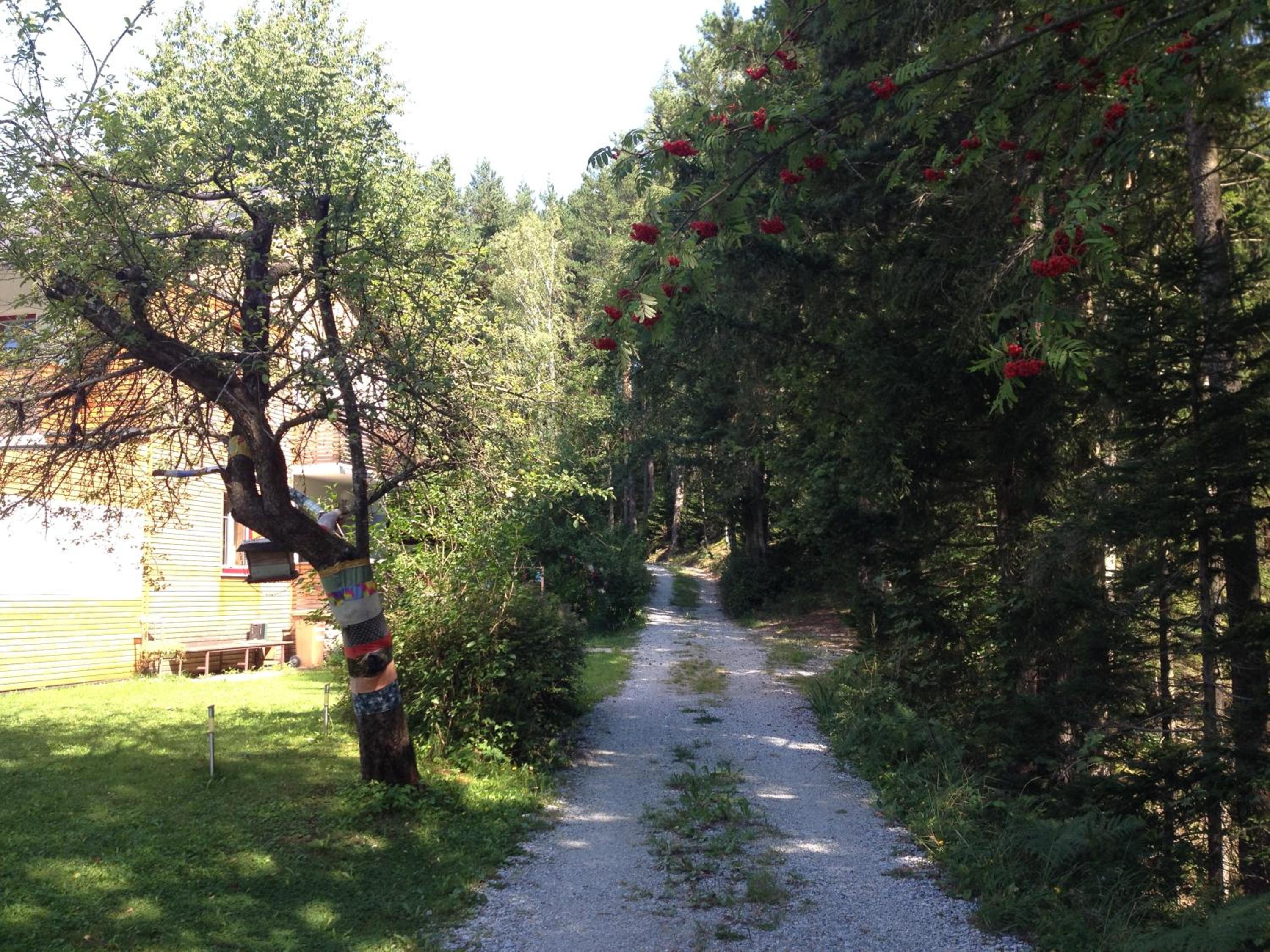 Ferienhaus im Wald