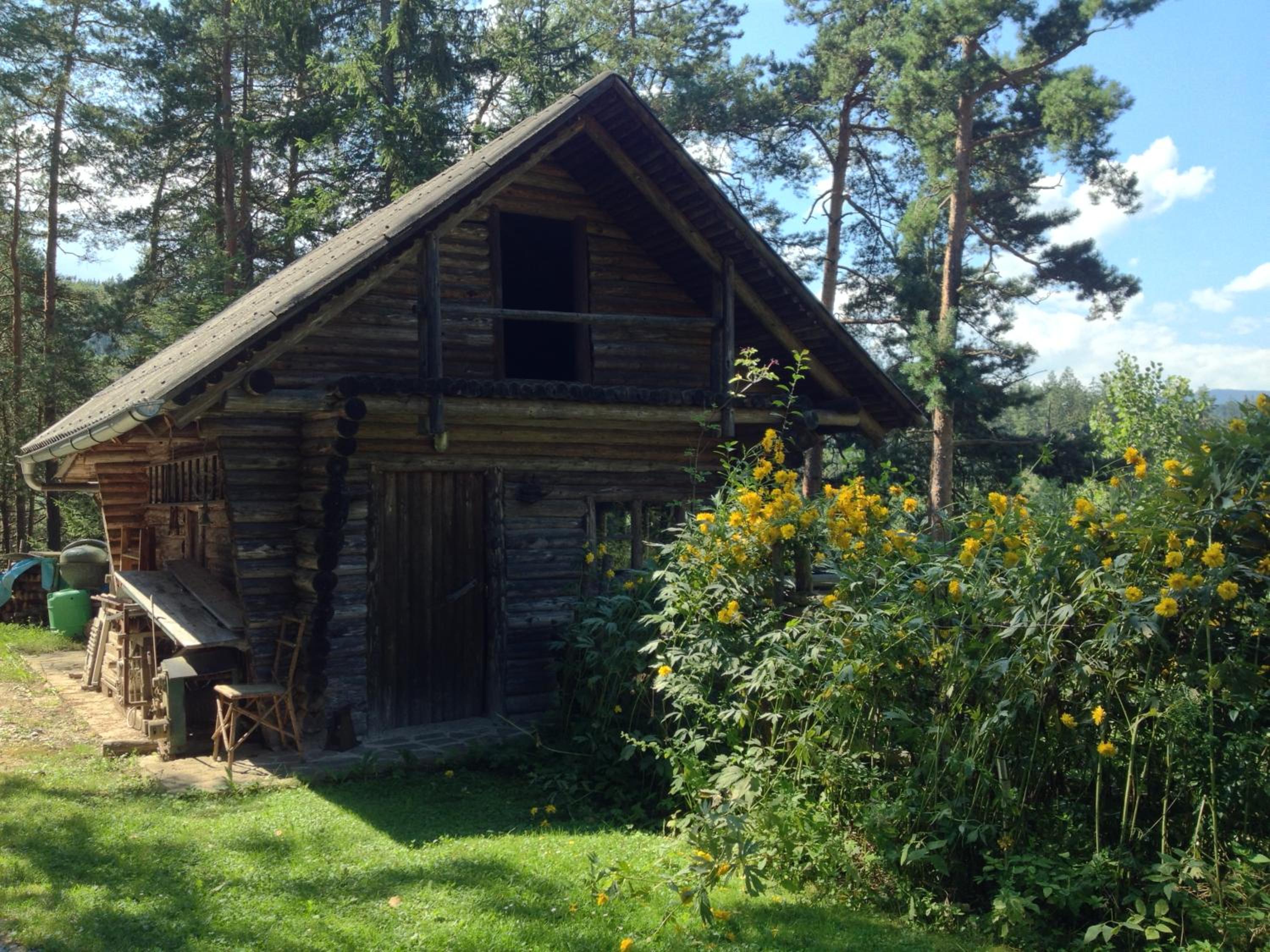 Ferienhaus im Wald