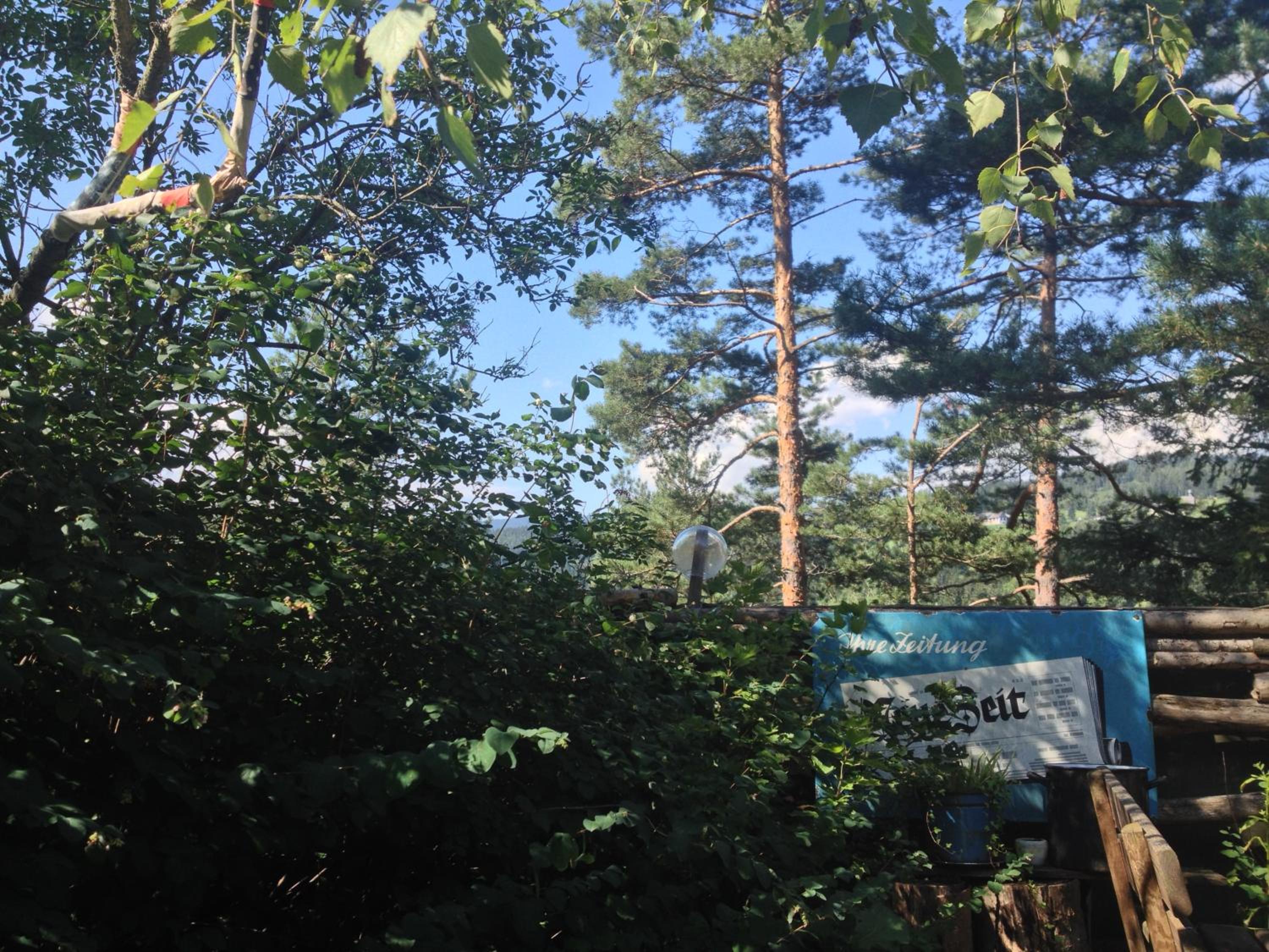 Ferienhaus im Wald
