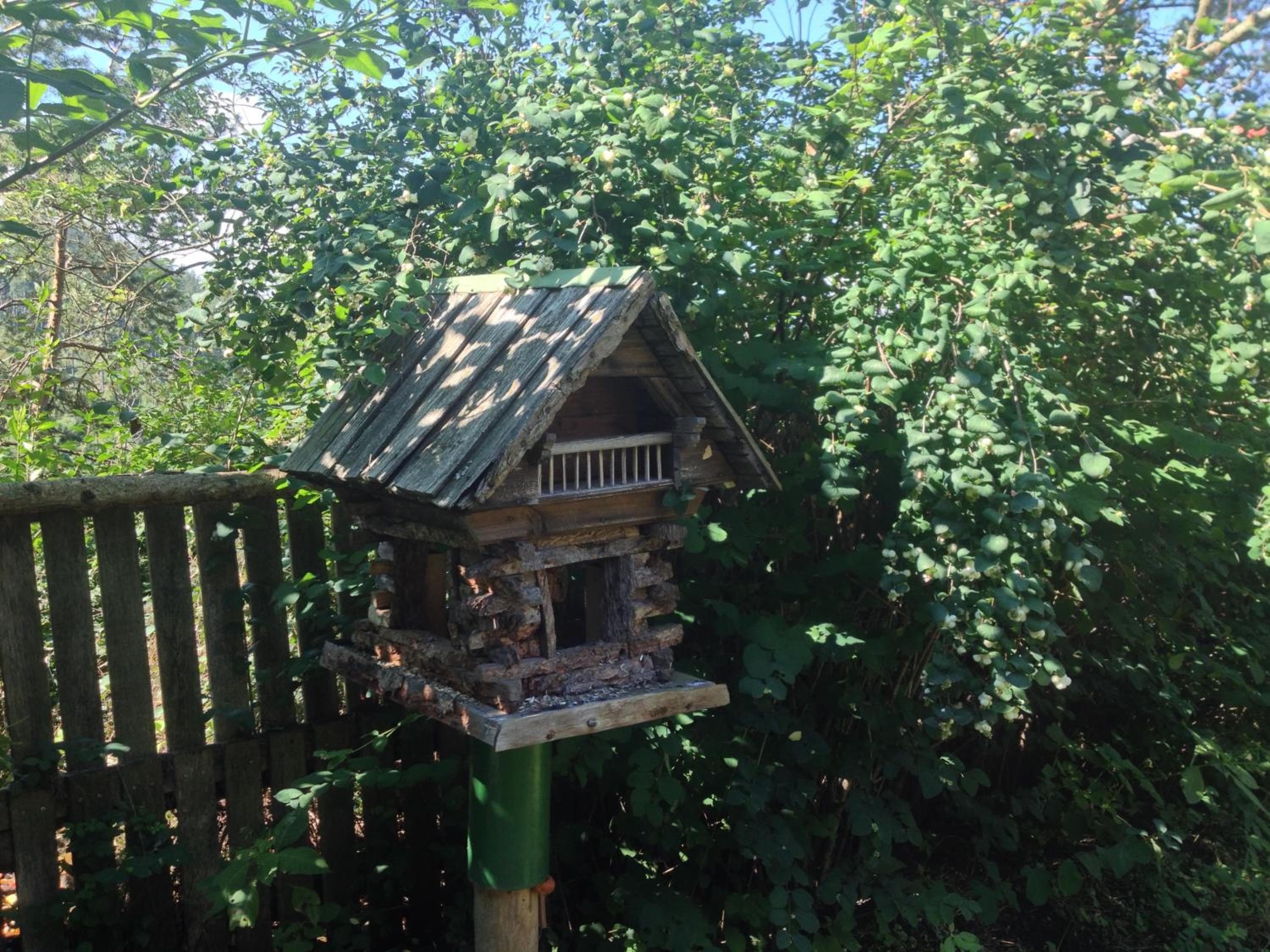 Ferienhaus im Wald