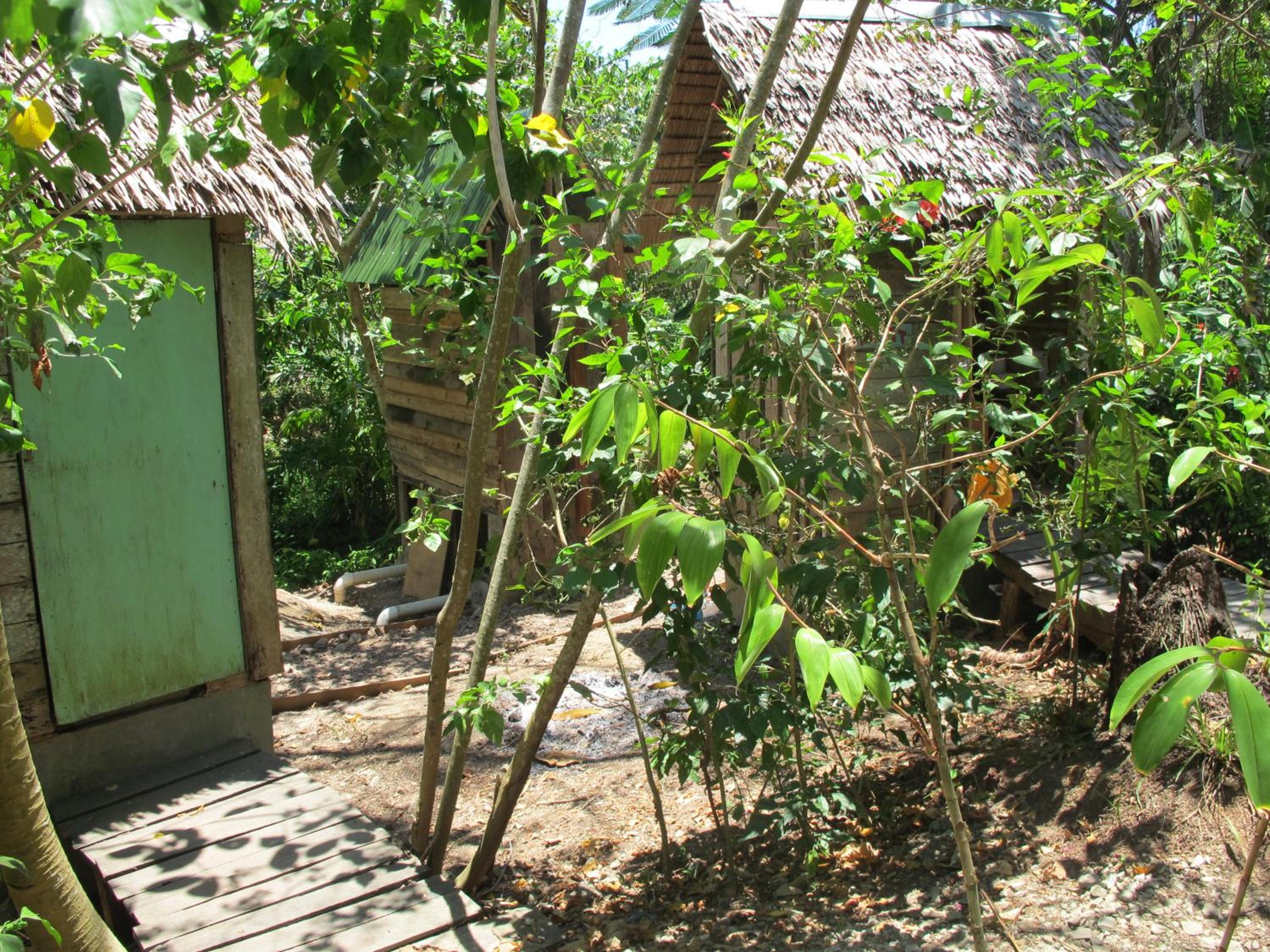Photo 45