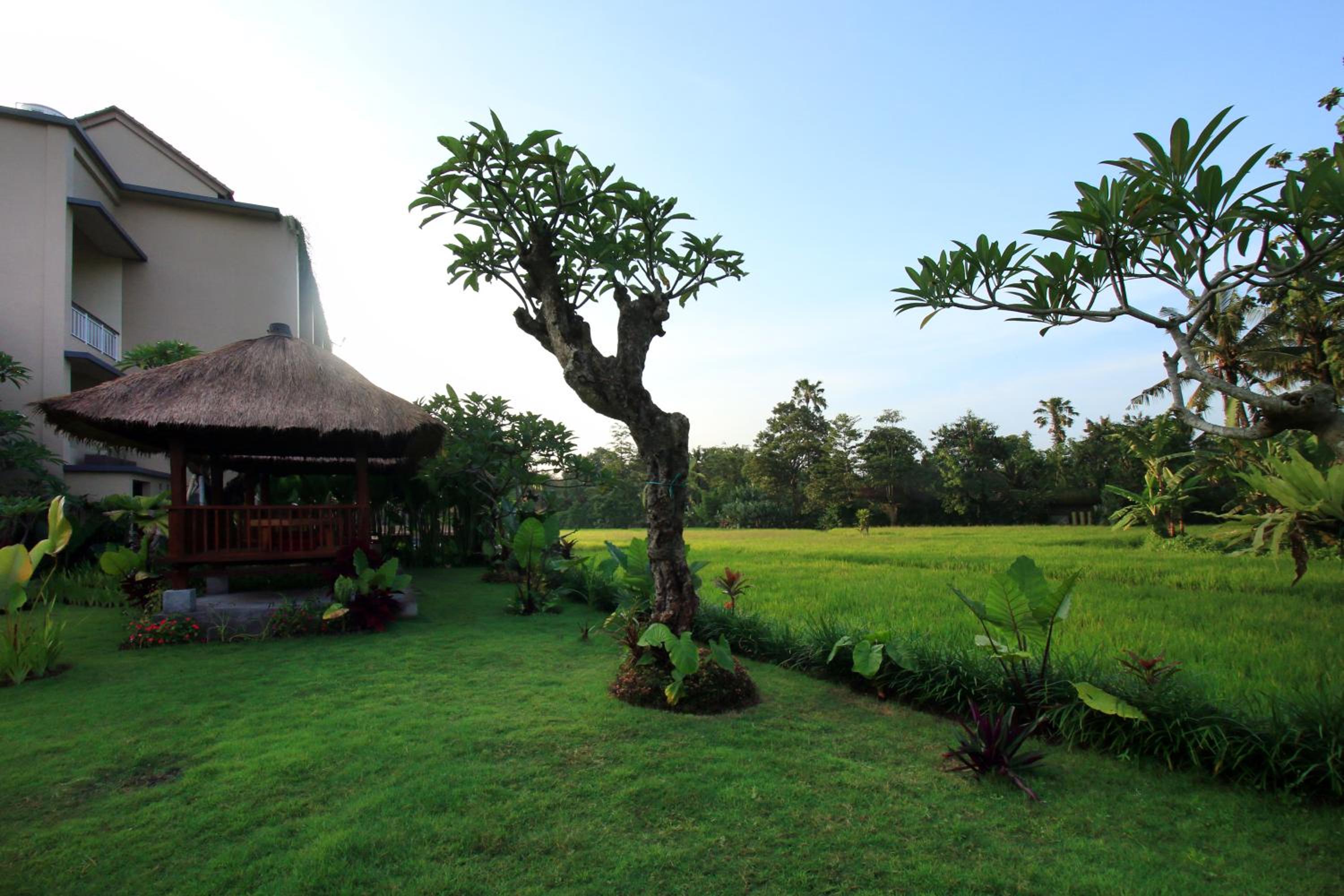Byasa Ubud