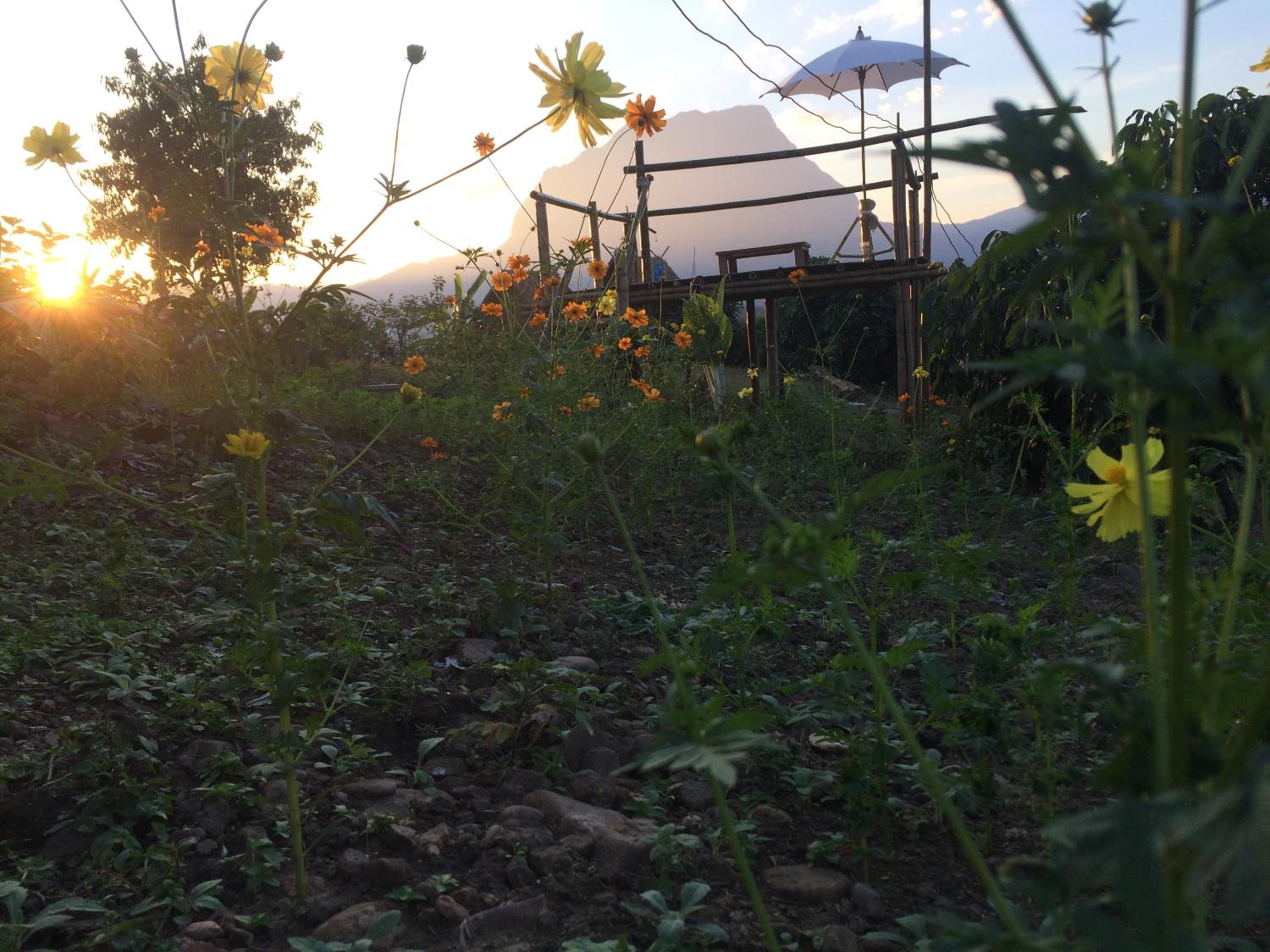 Baan 2 Dao Farmstay