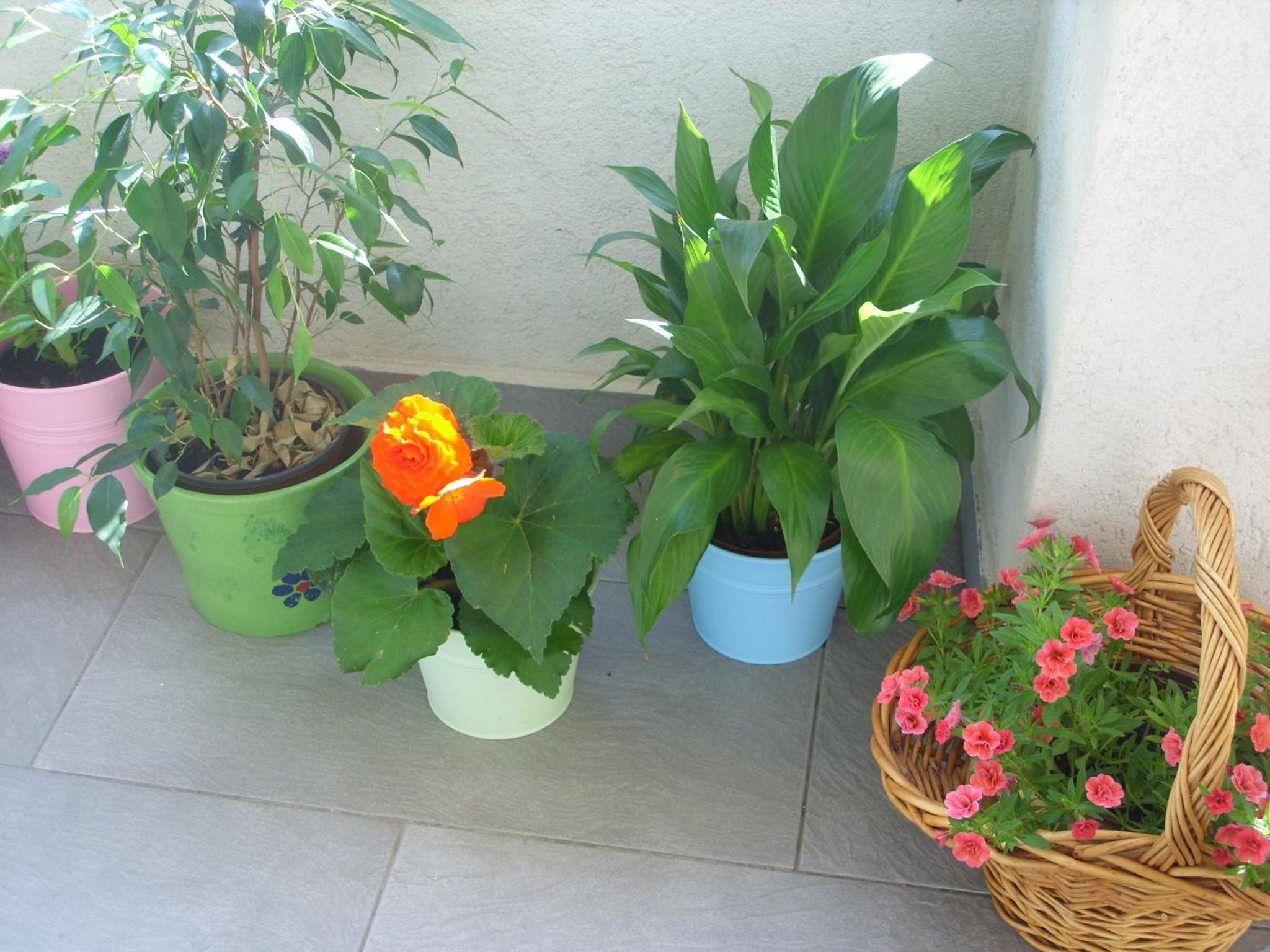 Photo 57