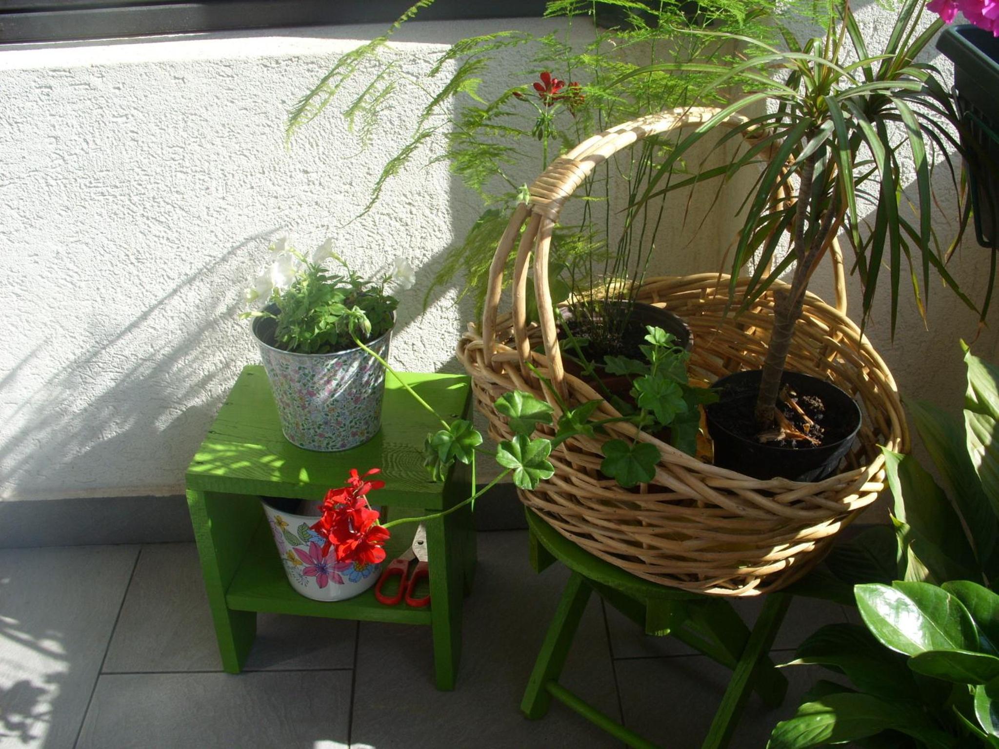 Photo 56