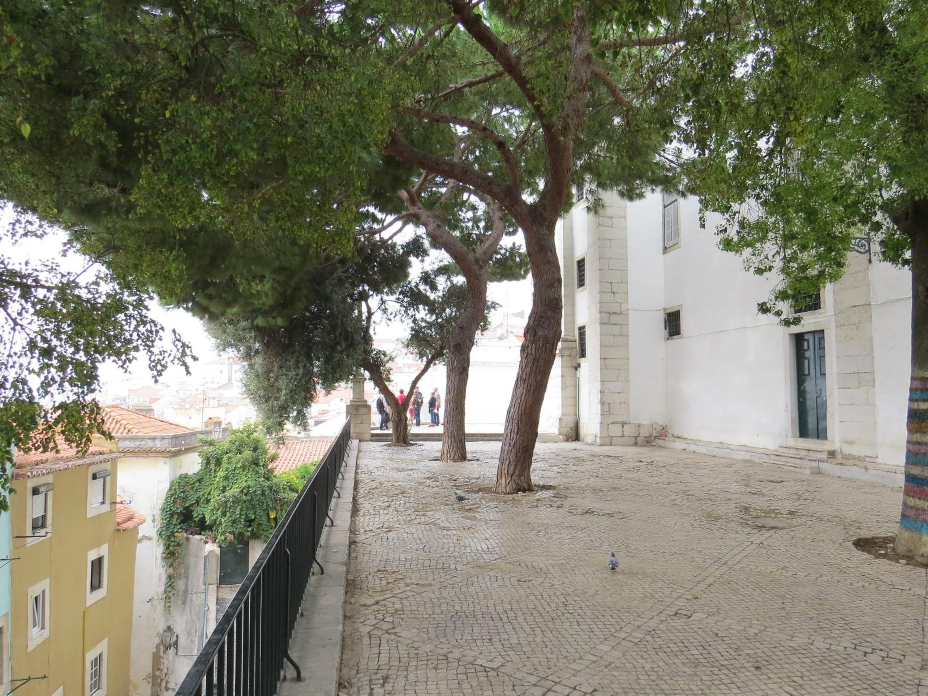 Photo 41