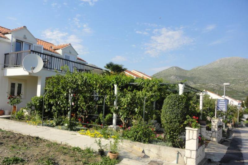 Guest House Pavkovic view 4