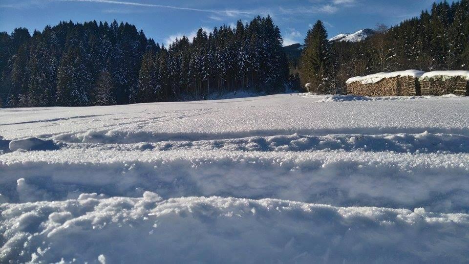 Schwaighof