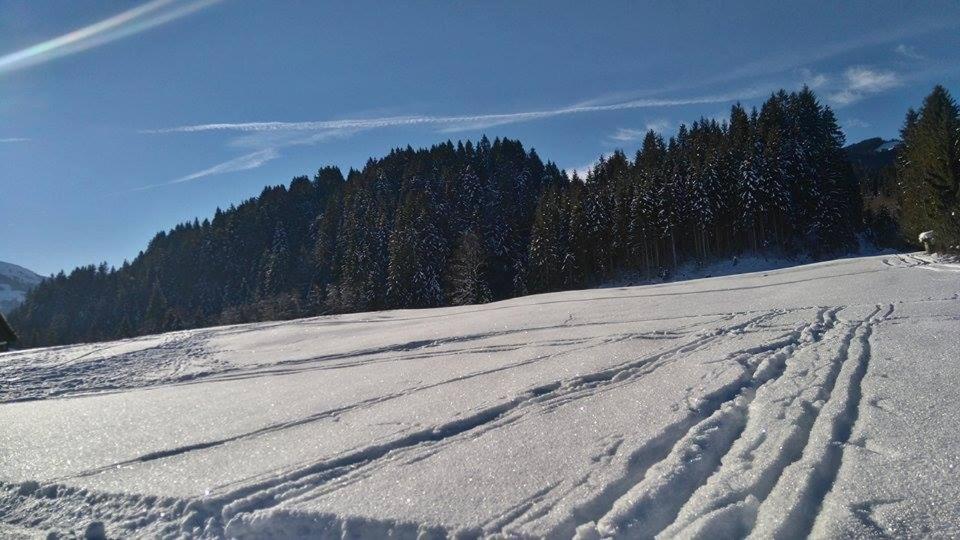 Schwaighof