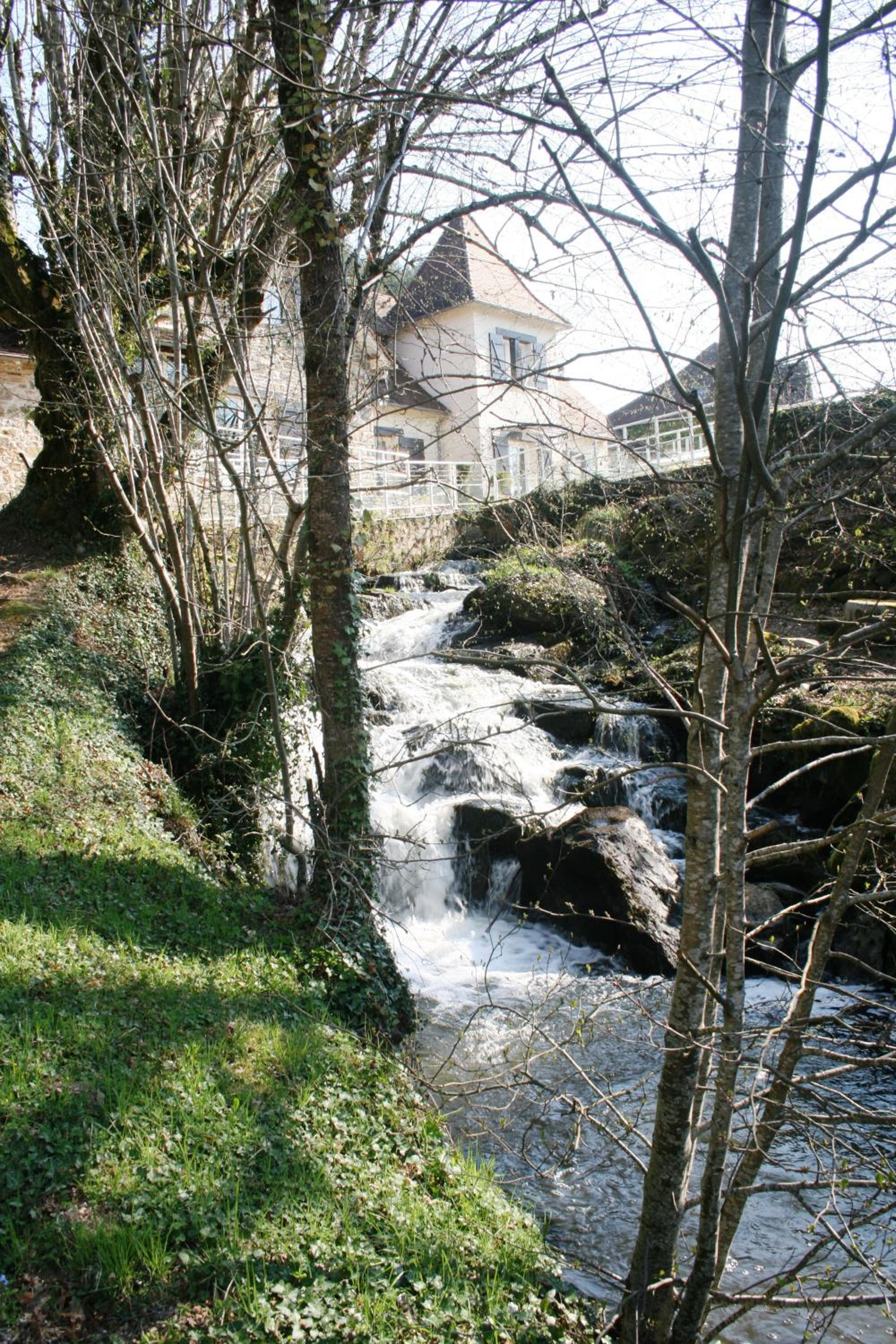 Photo 8