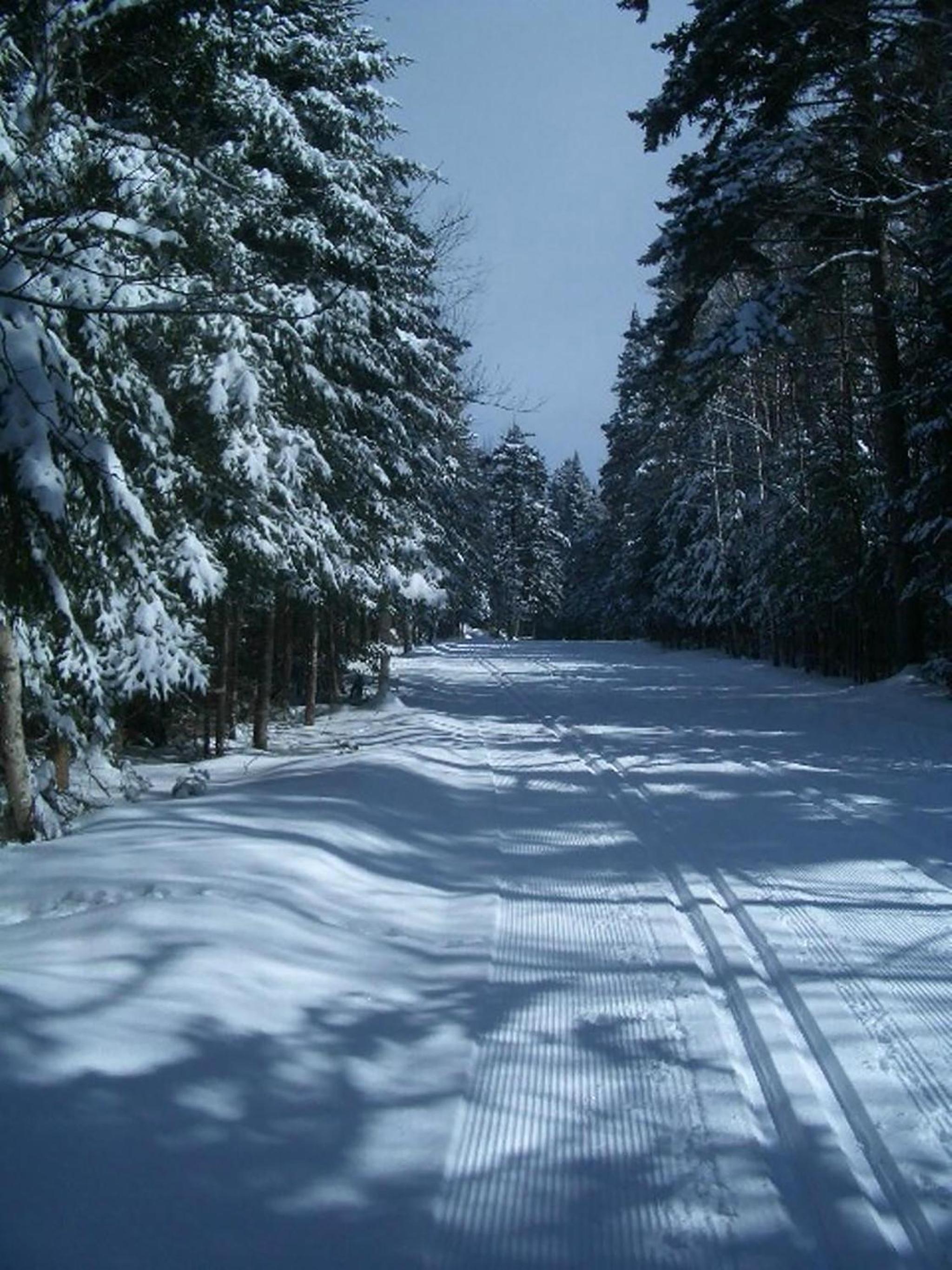 Adirondack Spruce Lodge