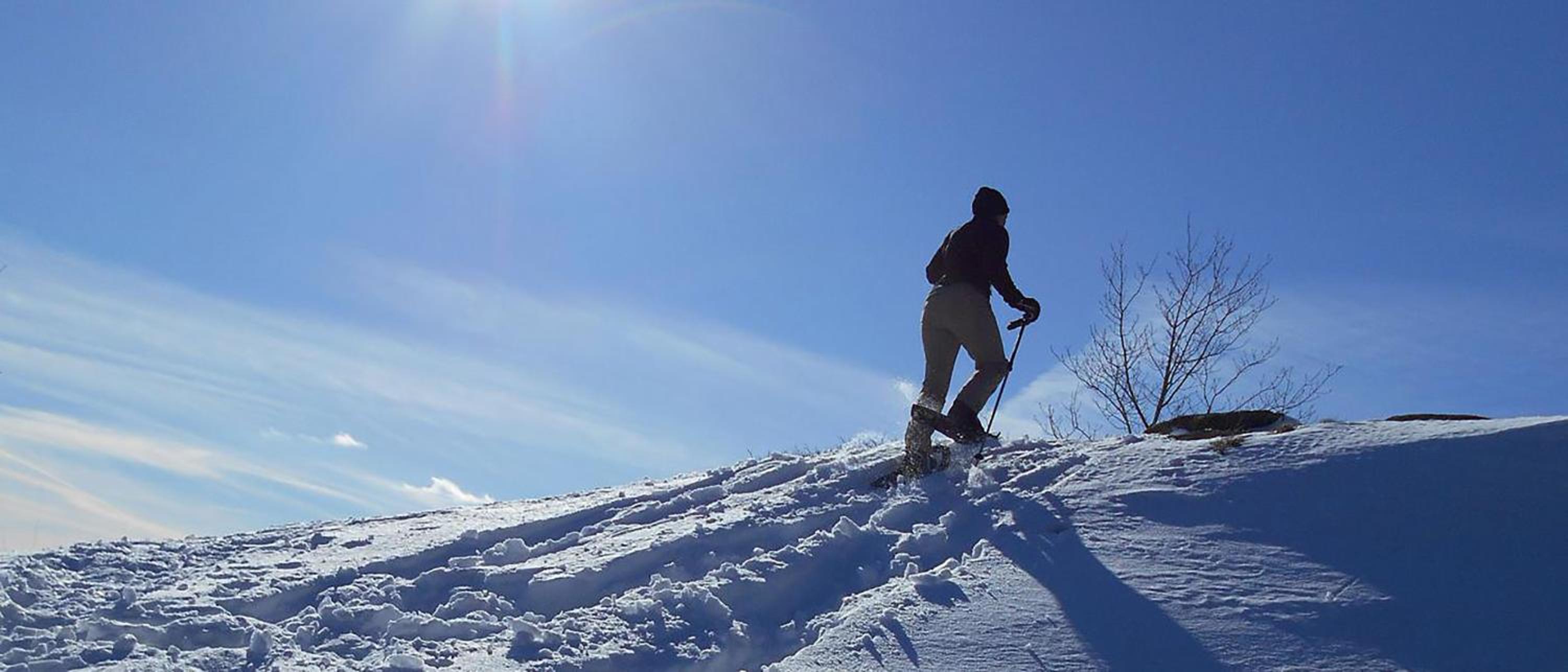 Adirondack Spruce Lodge