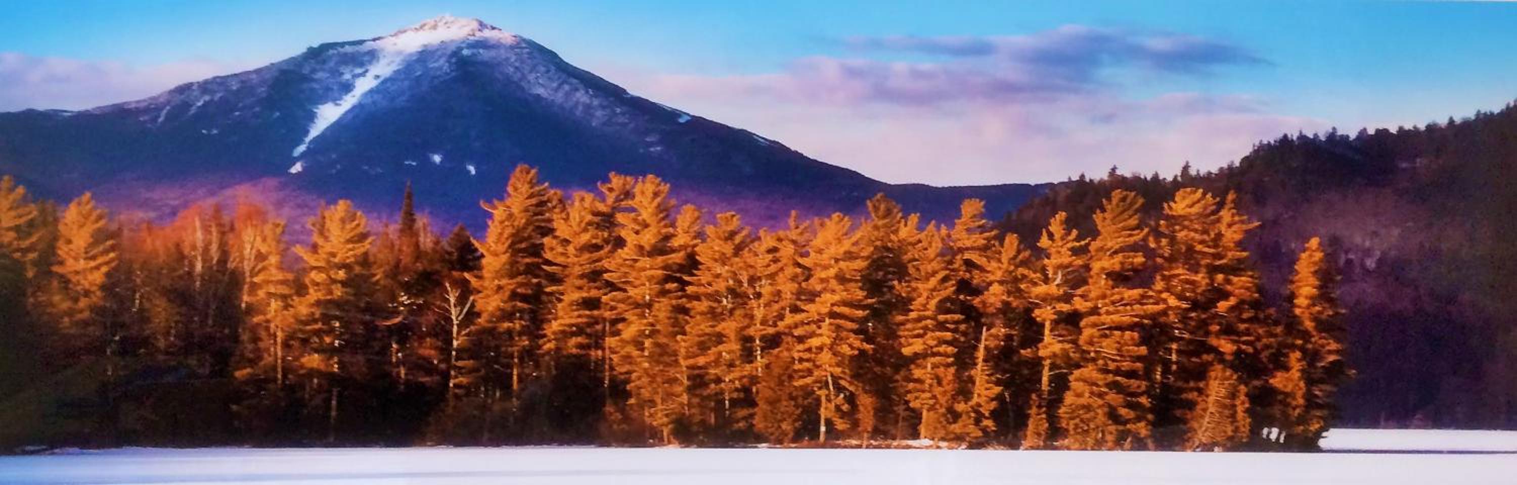Adirondack Spruce Lodge