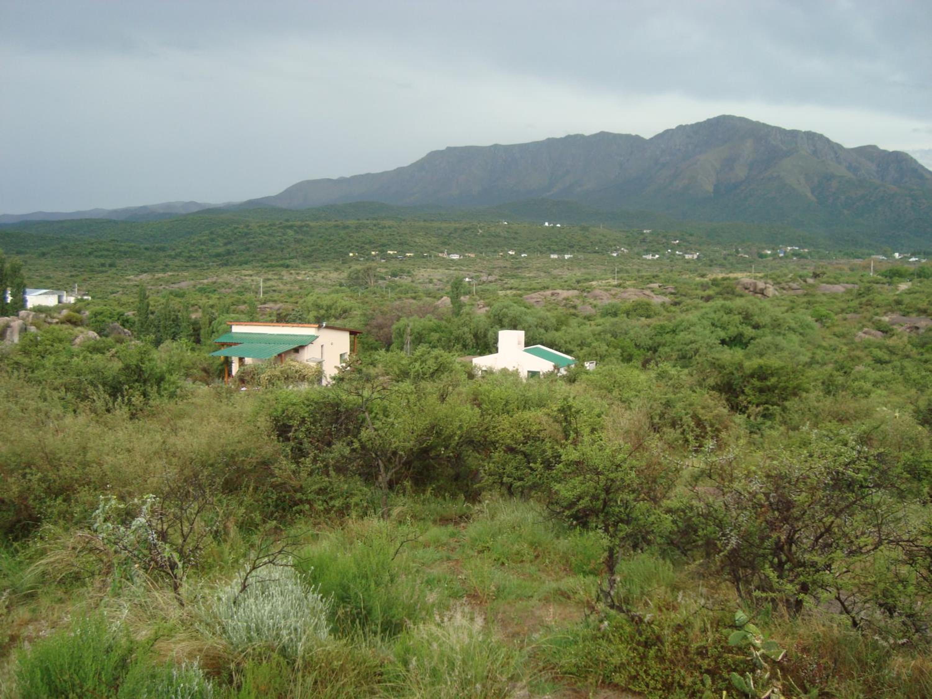 Monte Adentro