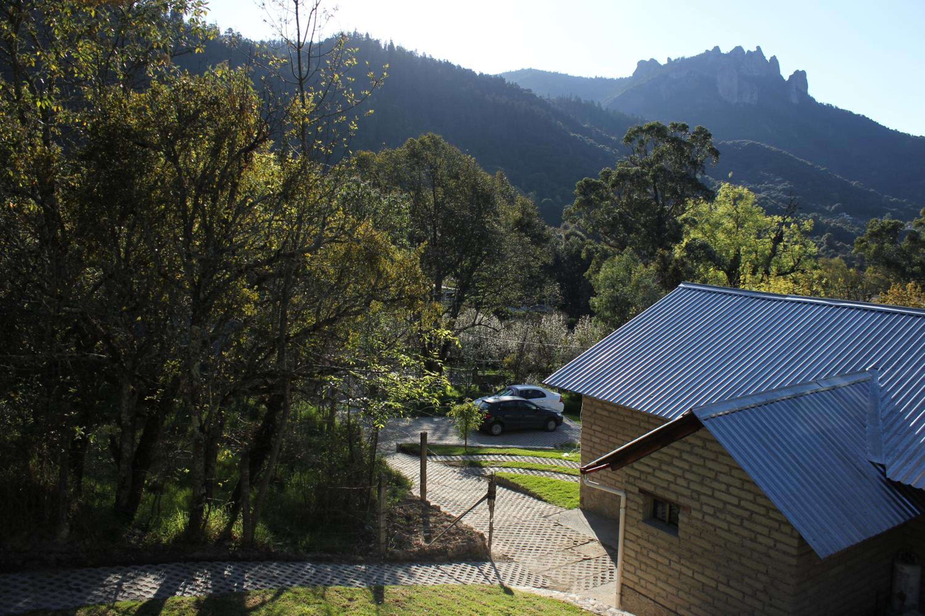 Hotel Cabañas Hojarasca - Image 1