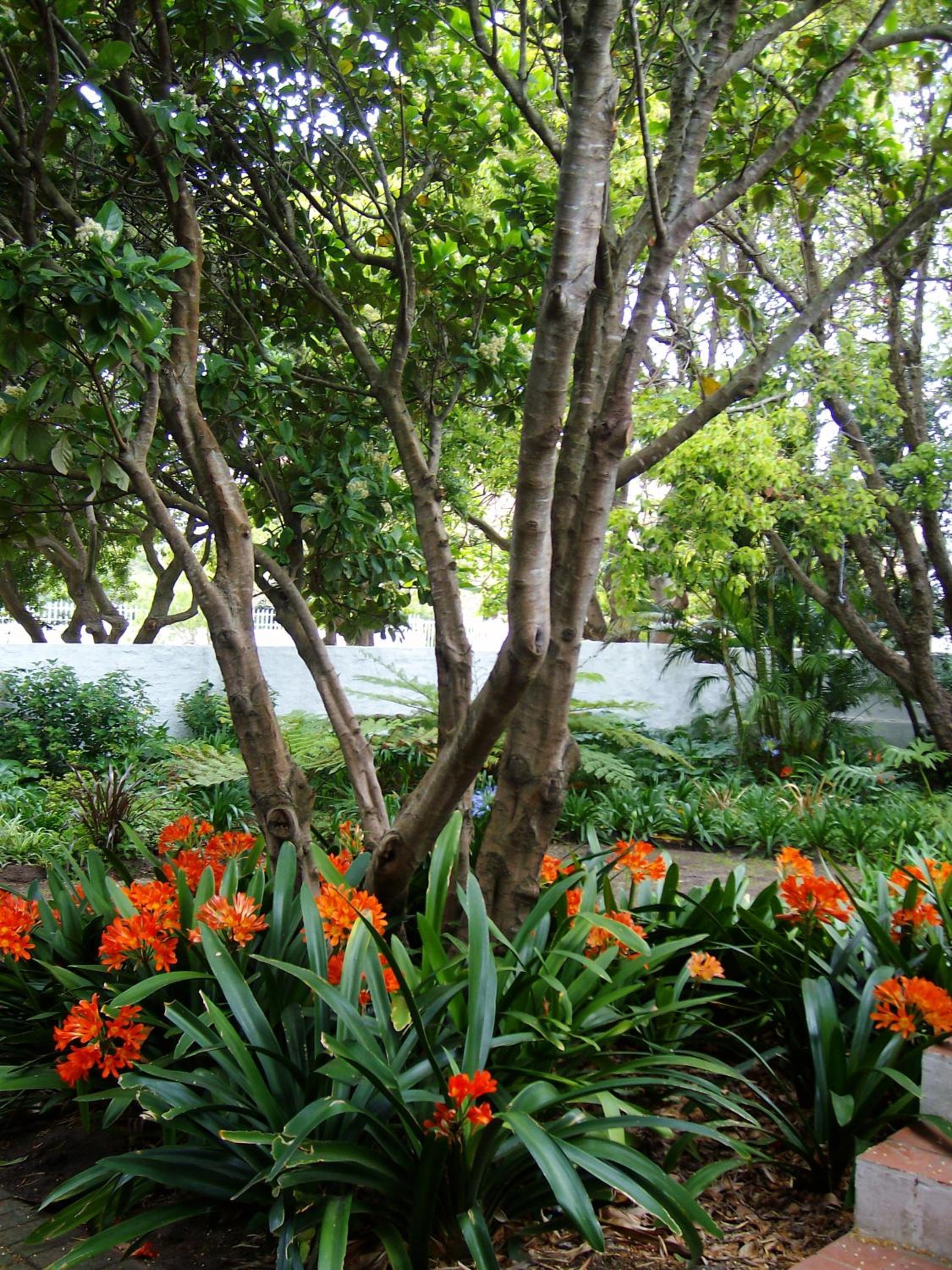 Photo 24