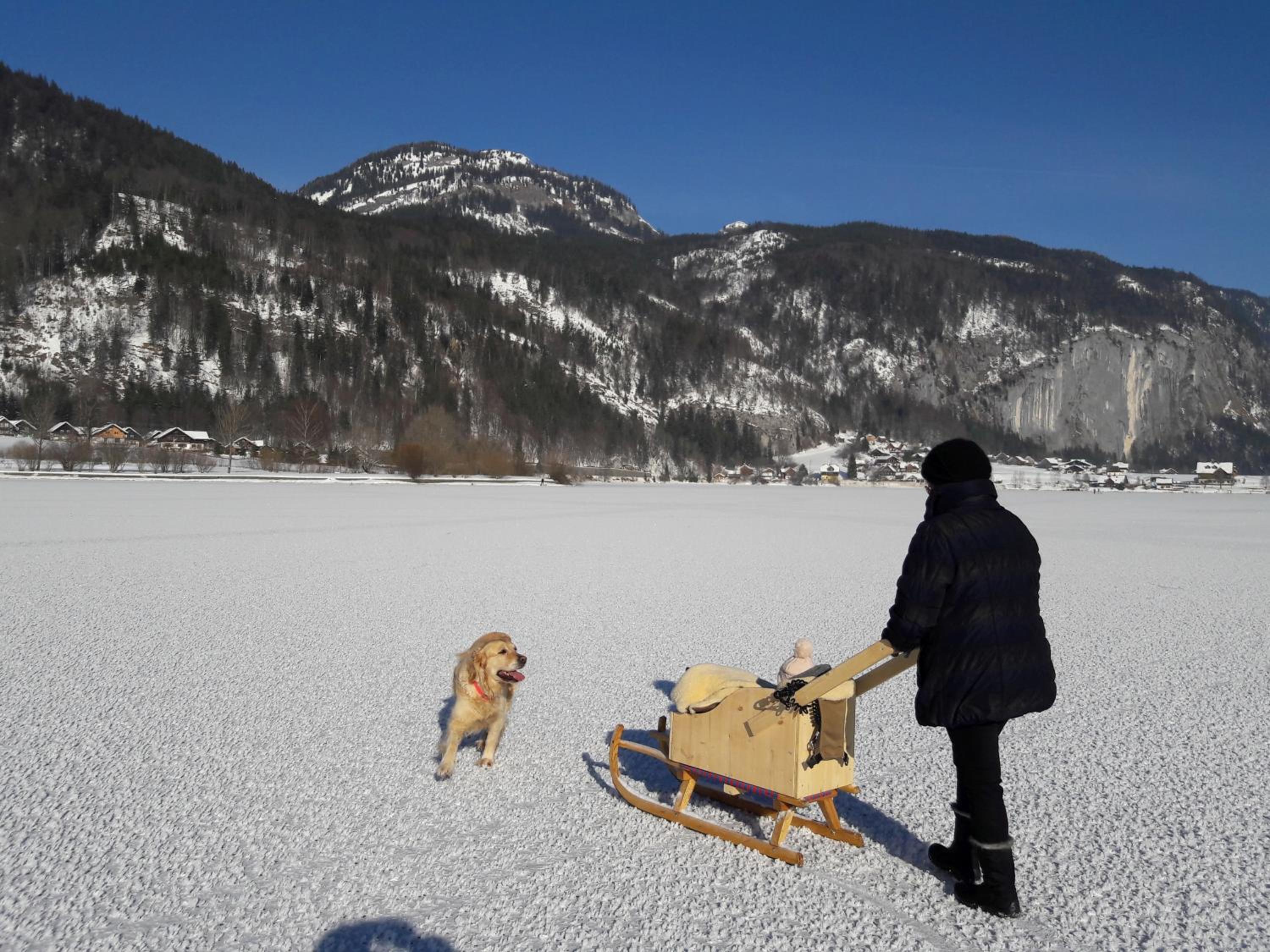 Haus Galler - Urlaub am Bauernhof