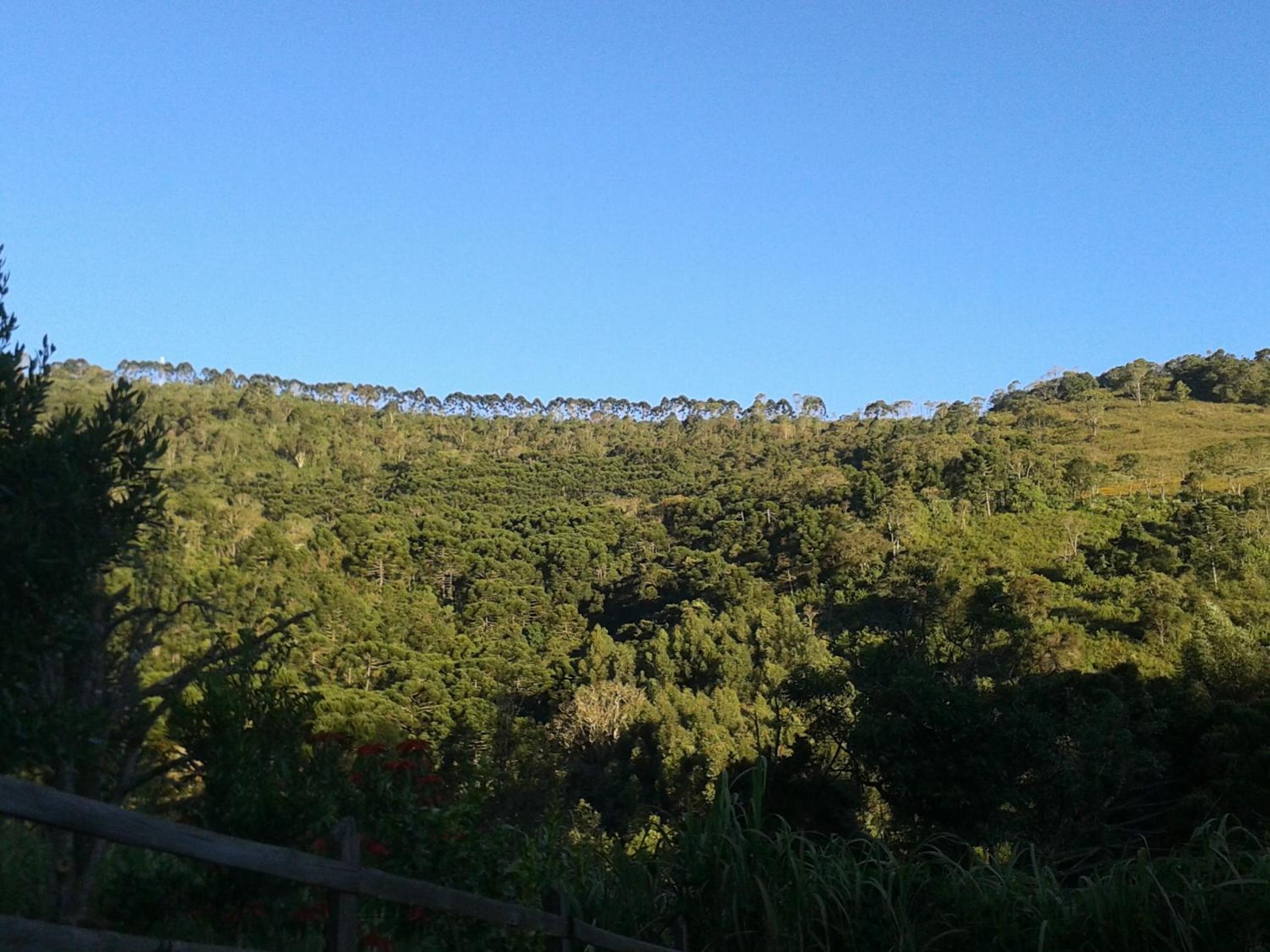 Casa Aconchegante Na Mantiqueira