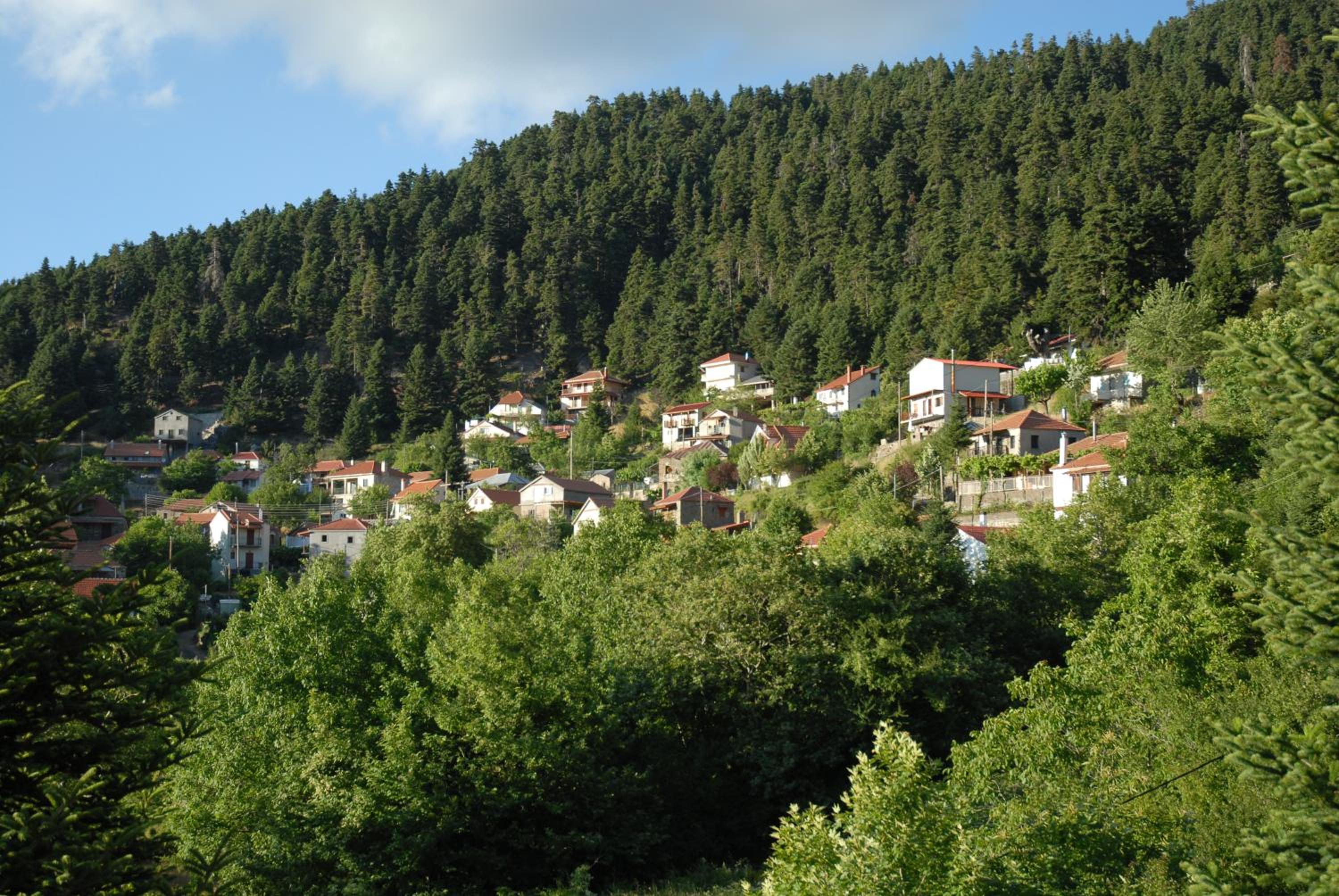 Photo 42