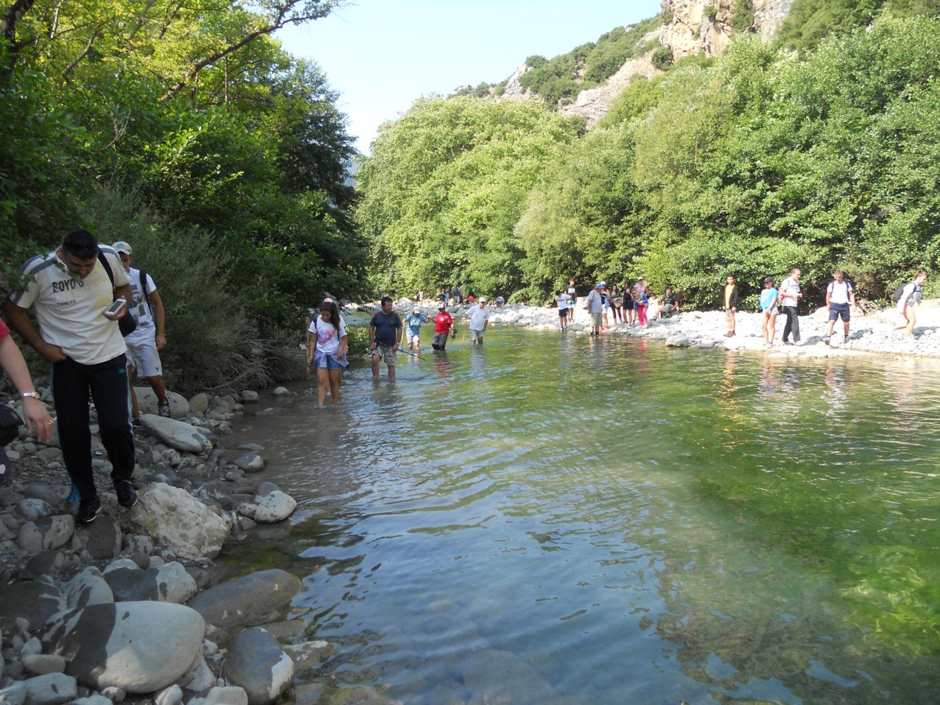 Photo 43