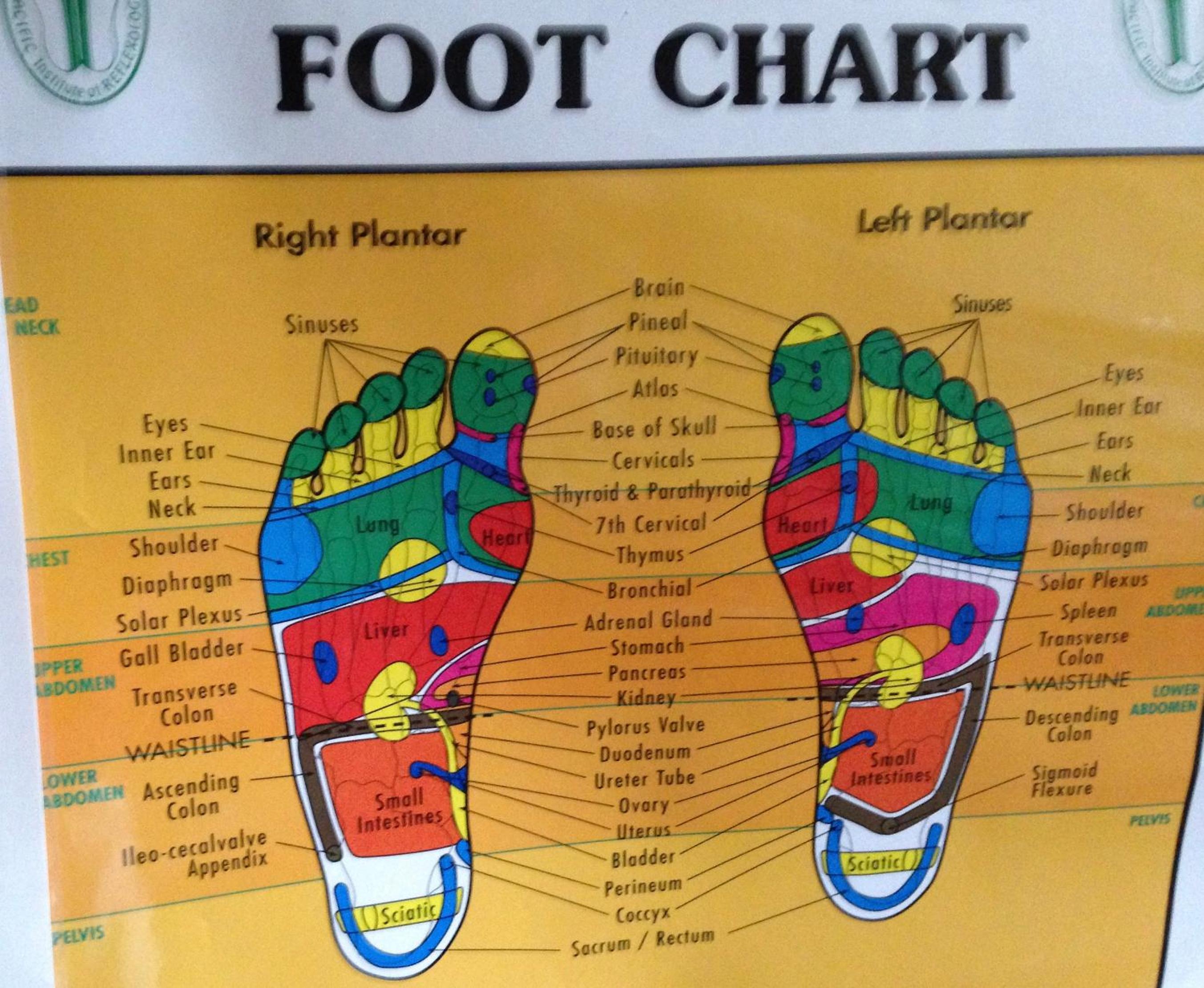 Estuary House Reflexology B&B