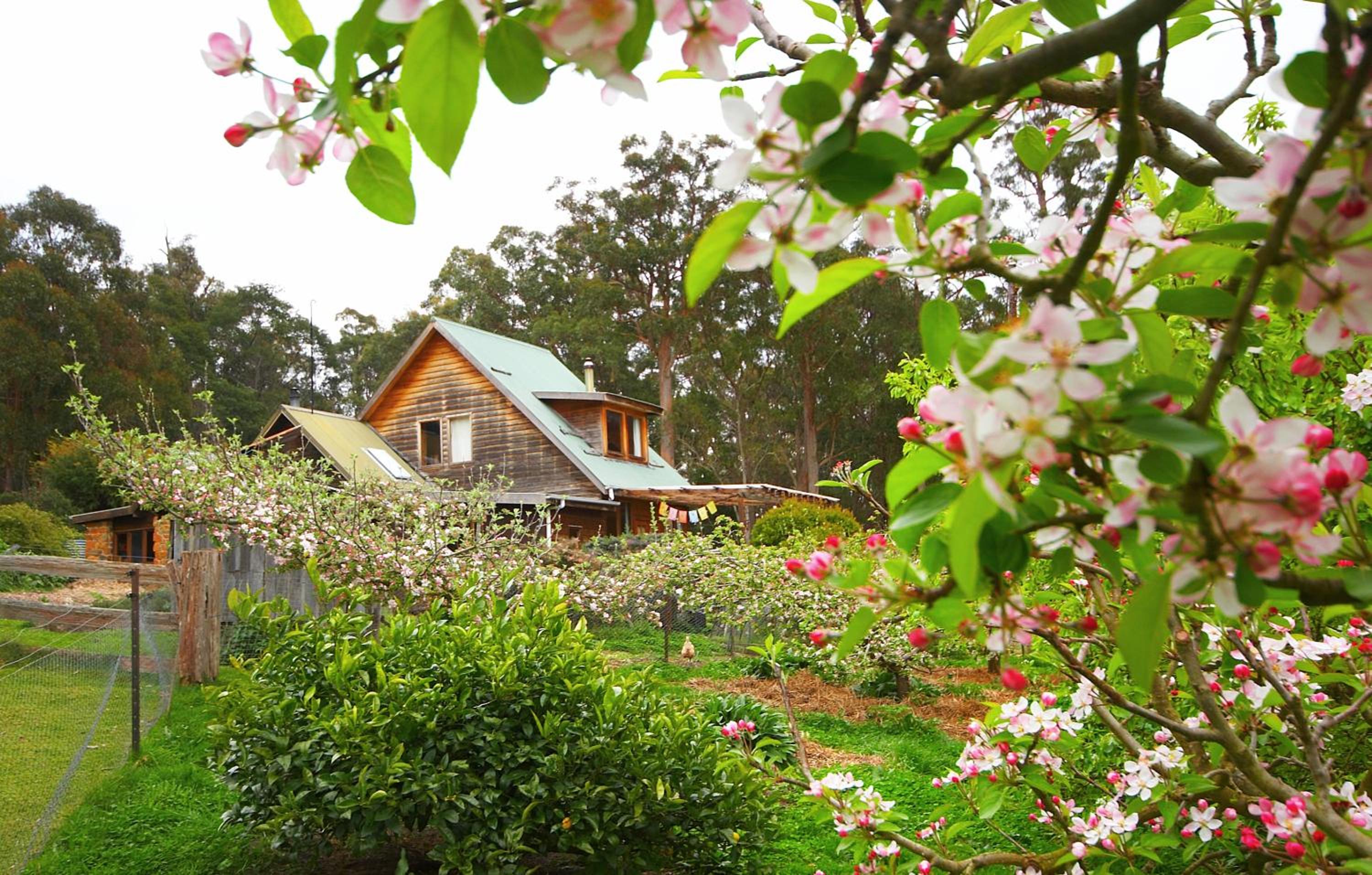 Elvenhome Farm