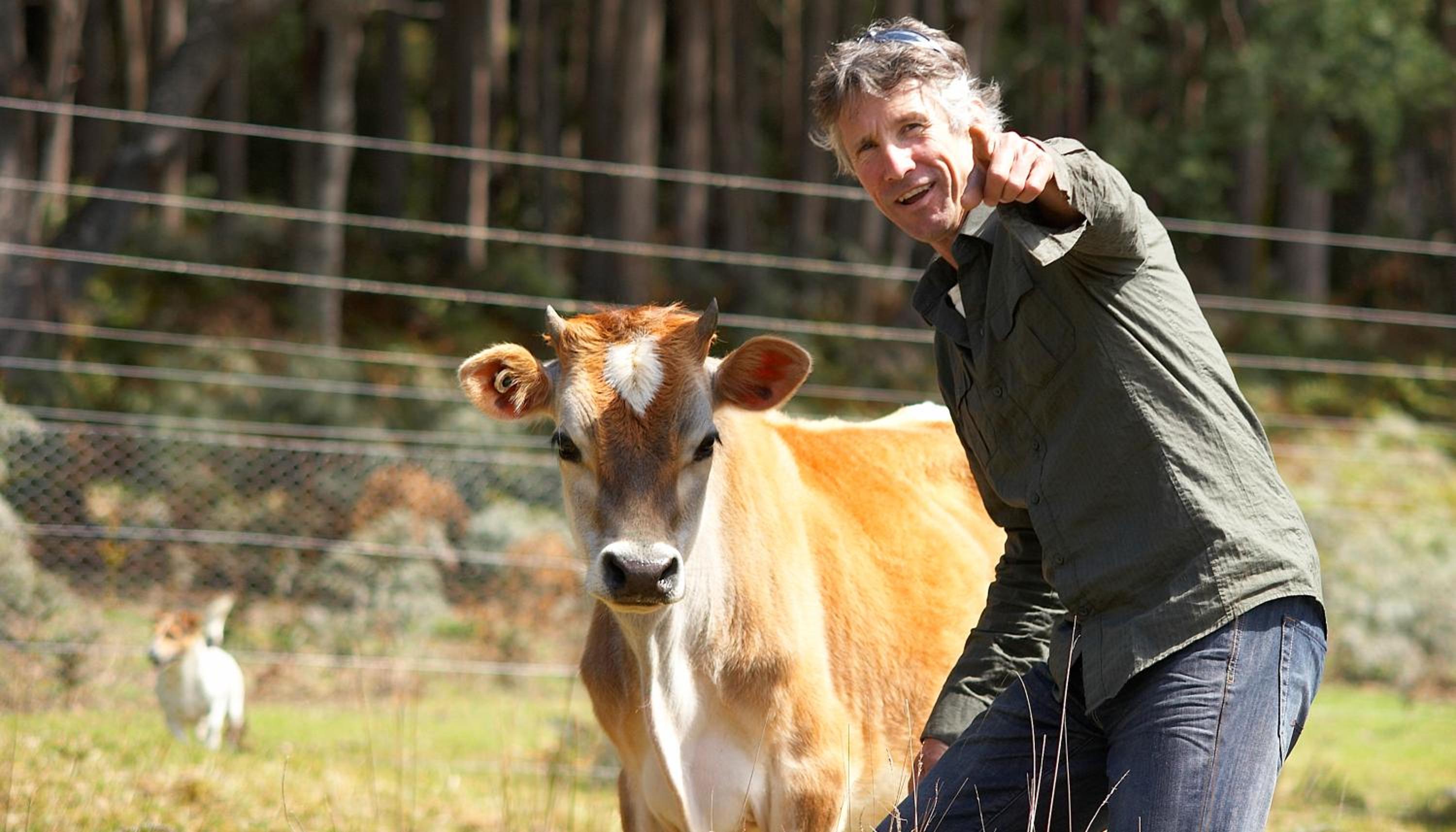 Elvenhome Farm