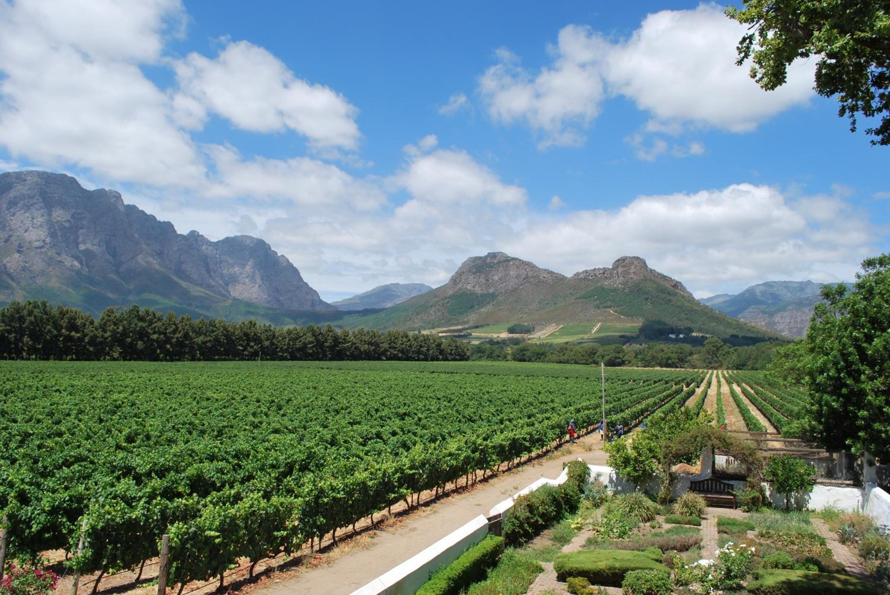 Kingna Lodge Montagu