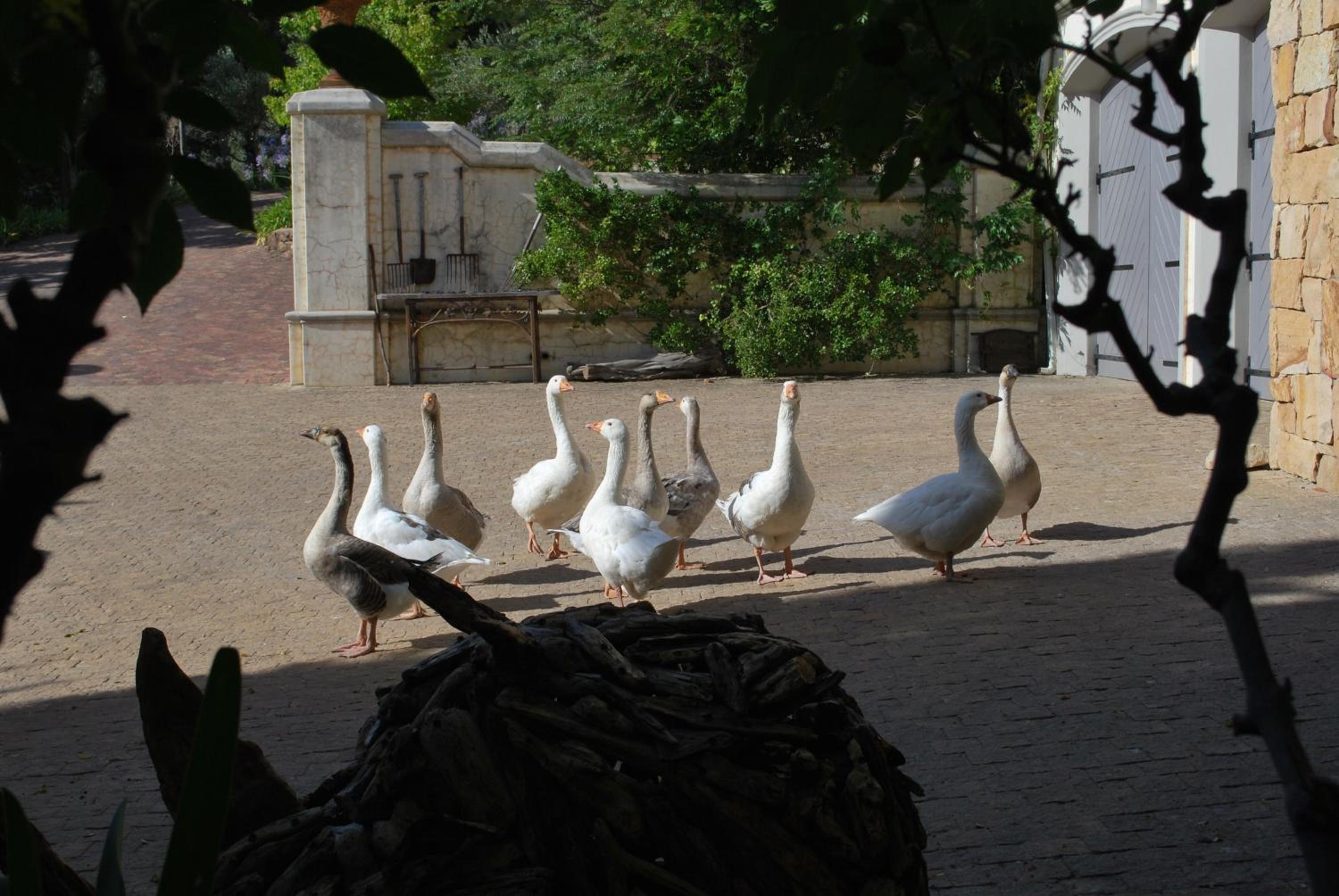 Kingna Lodge Montagu