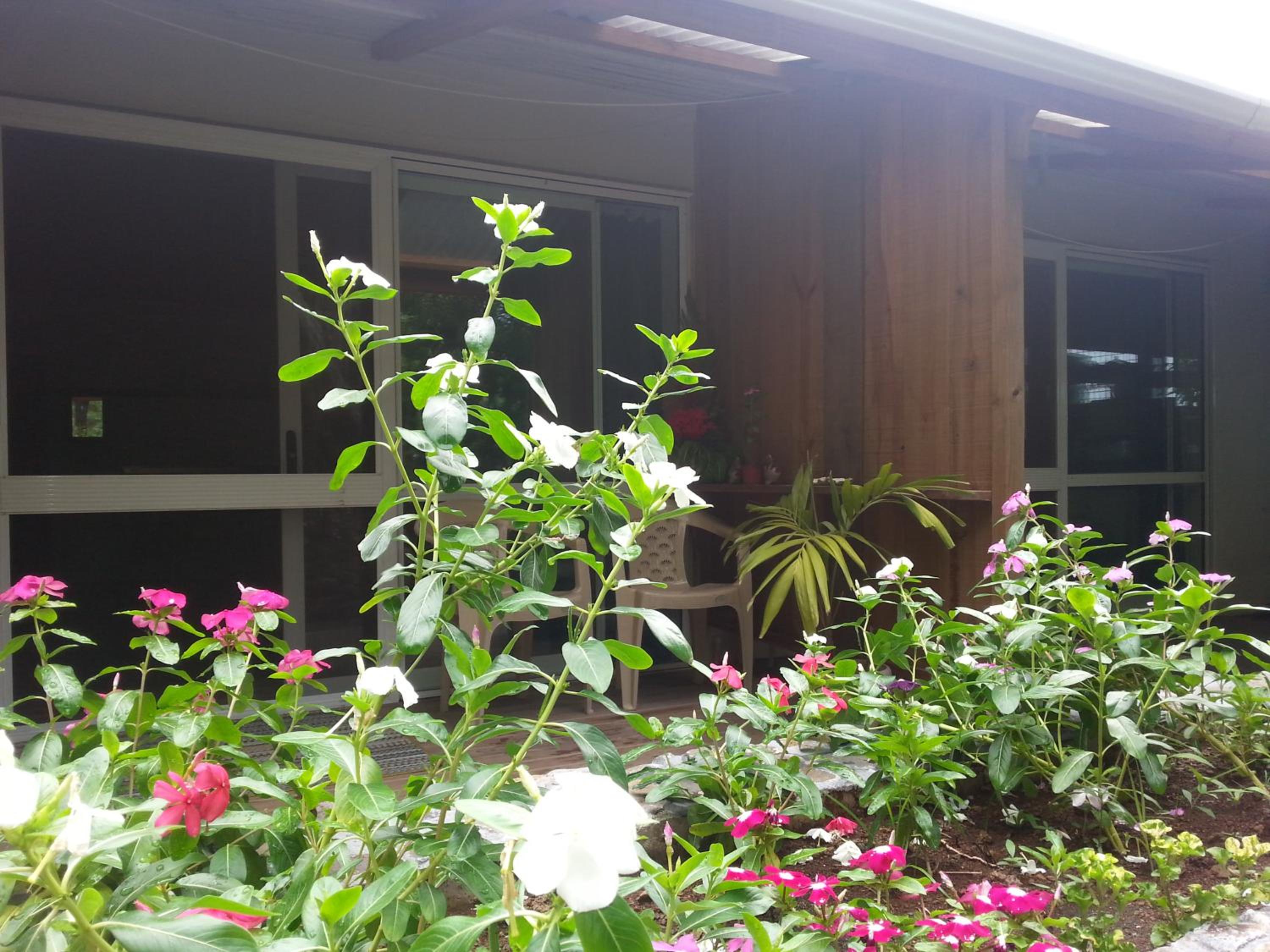Gecko Lodge Fiji - Image 4