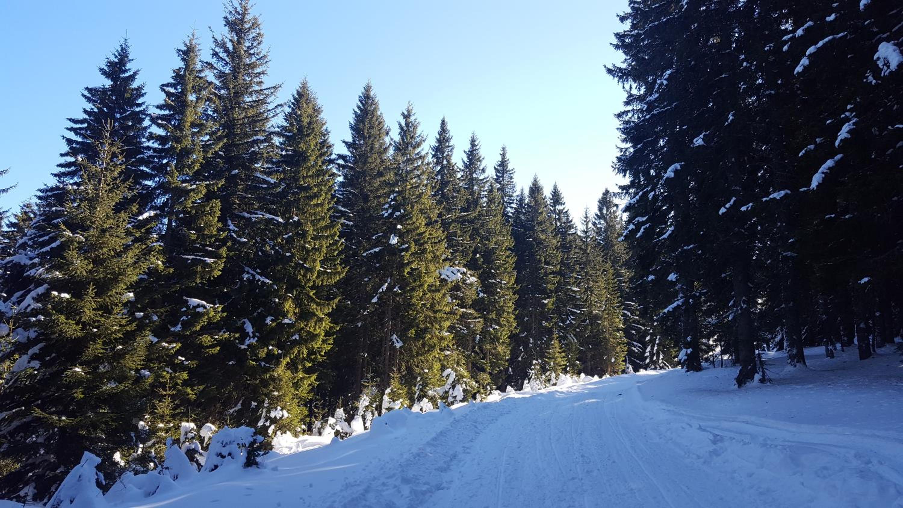 Jahorina Apartment 226 in Aparthotel Vucko - private host