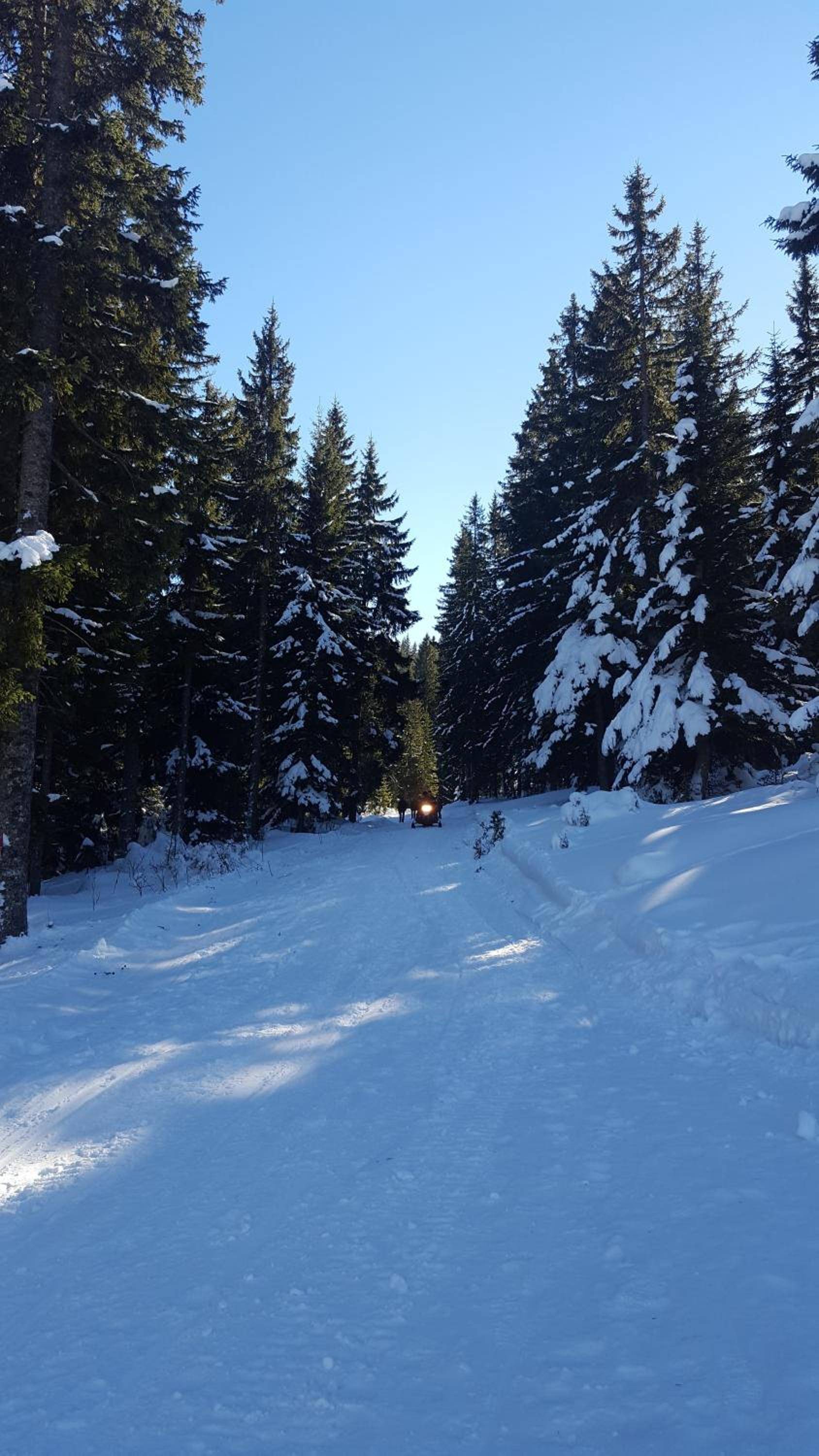 Jahorina Apartment 226 in Aparthotel Vucko - private host