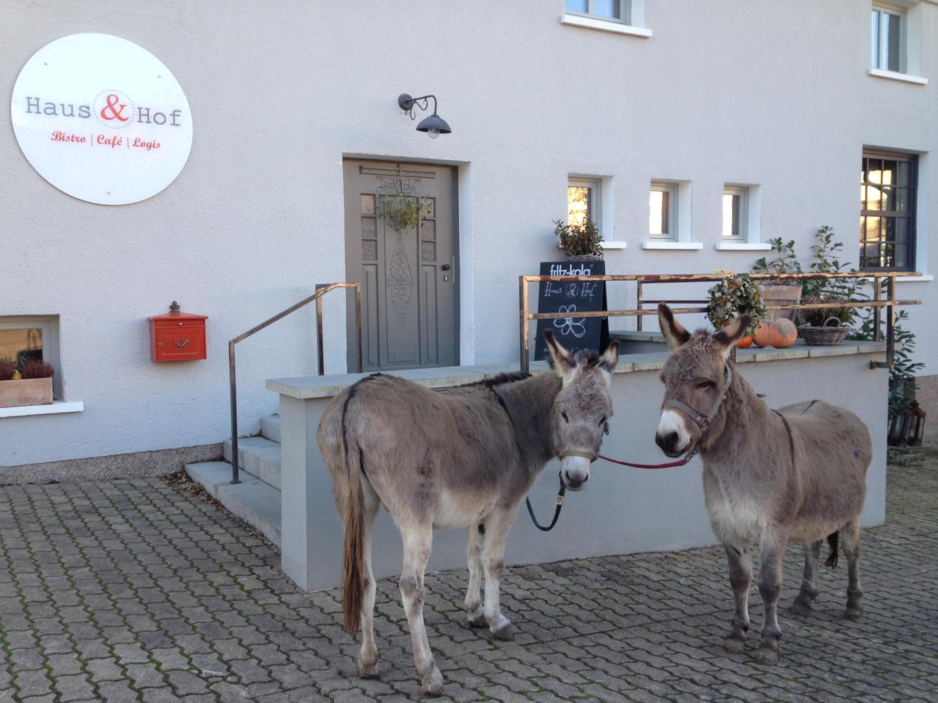 Haus & Hof Guest House