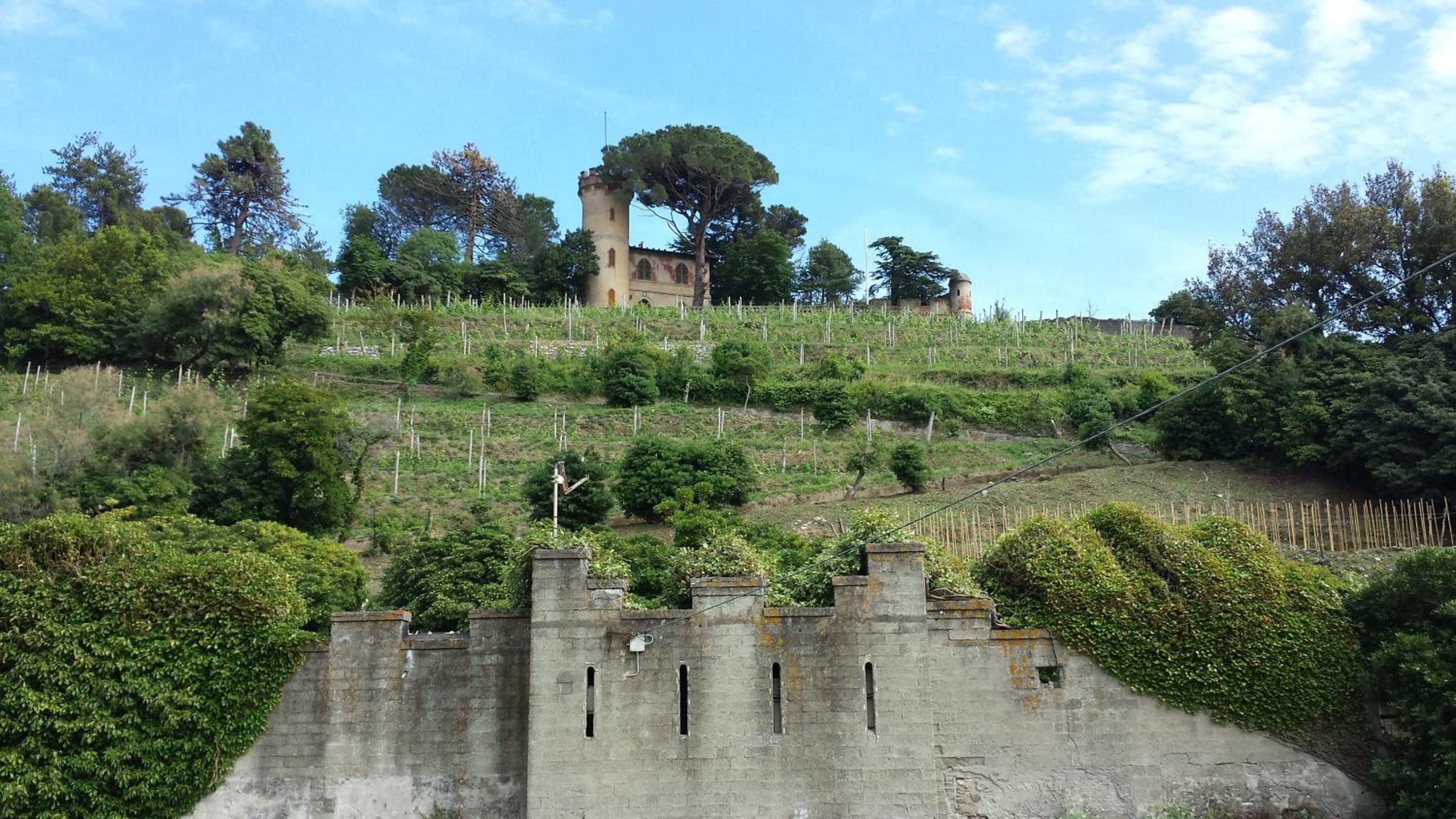 Photo 24
