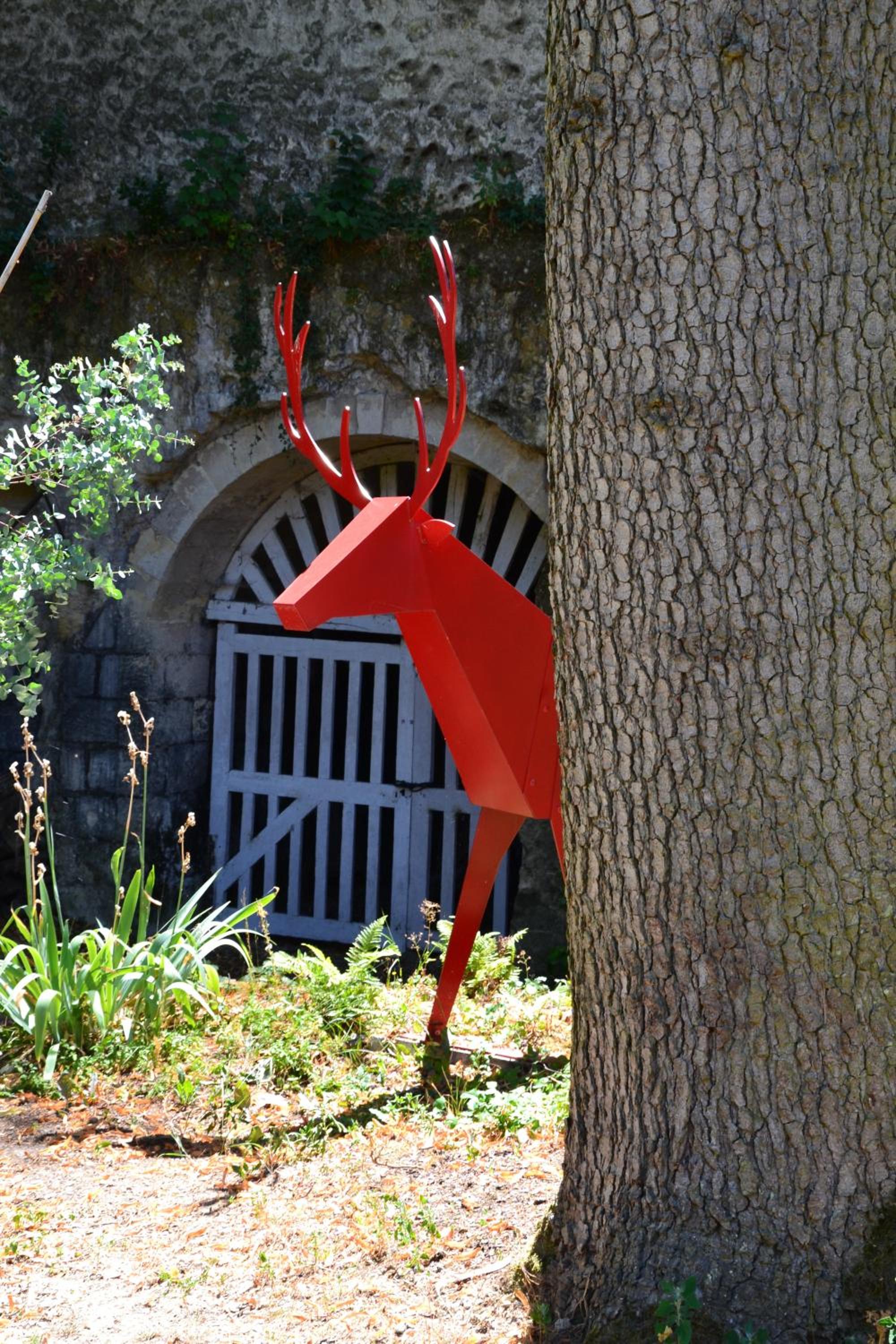 Photo 17