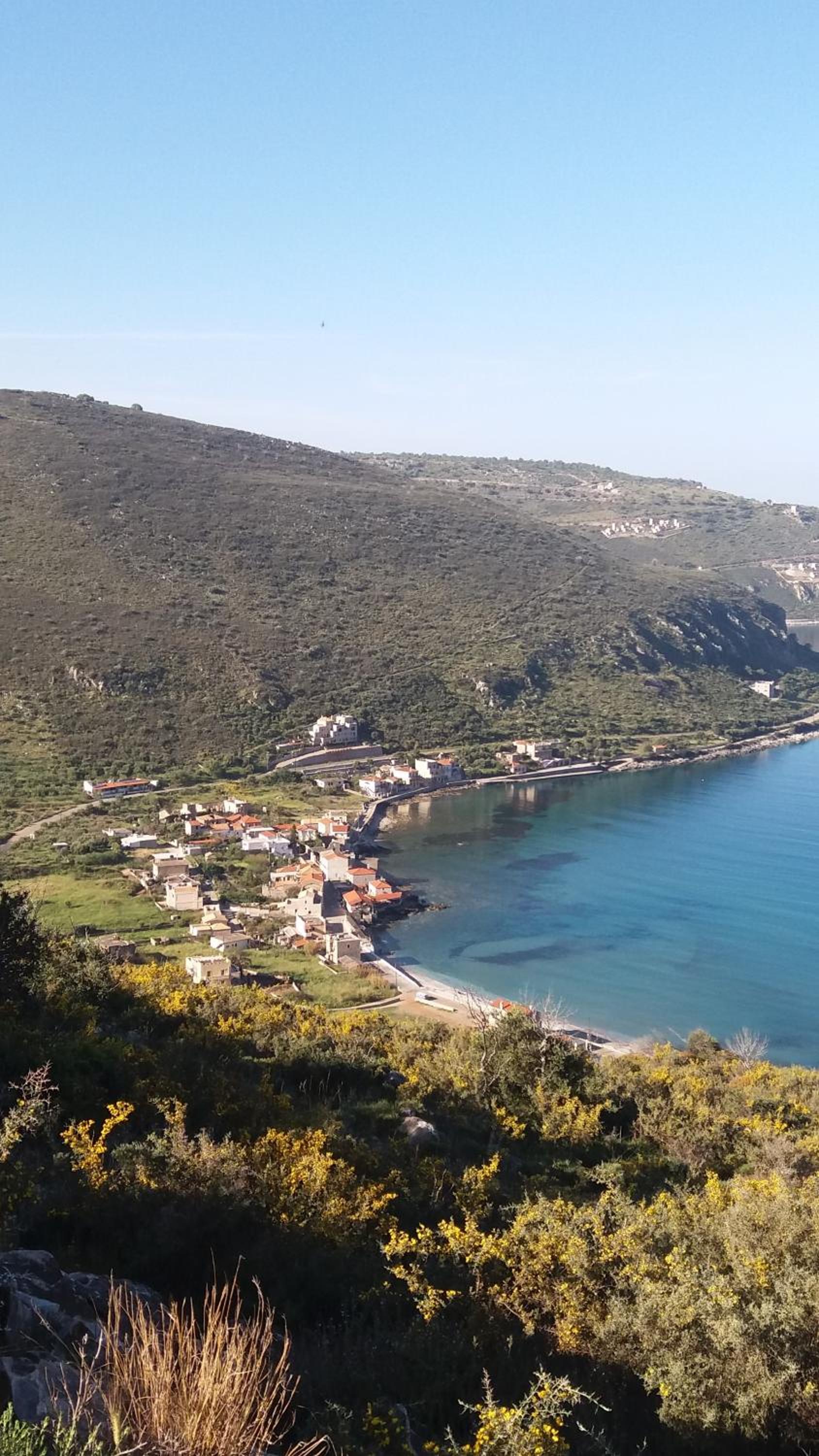 Elezar