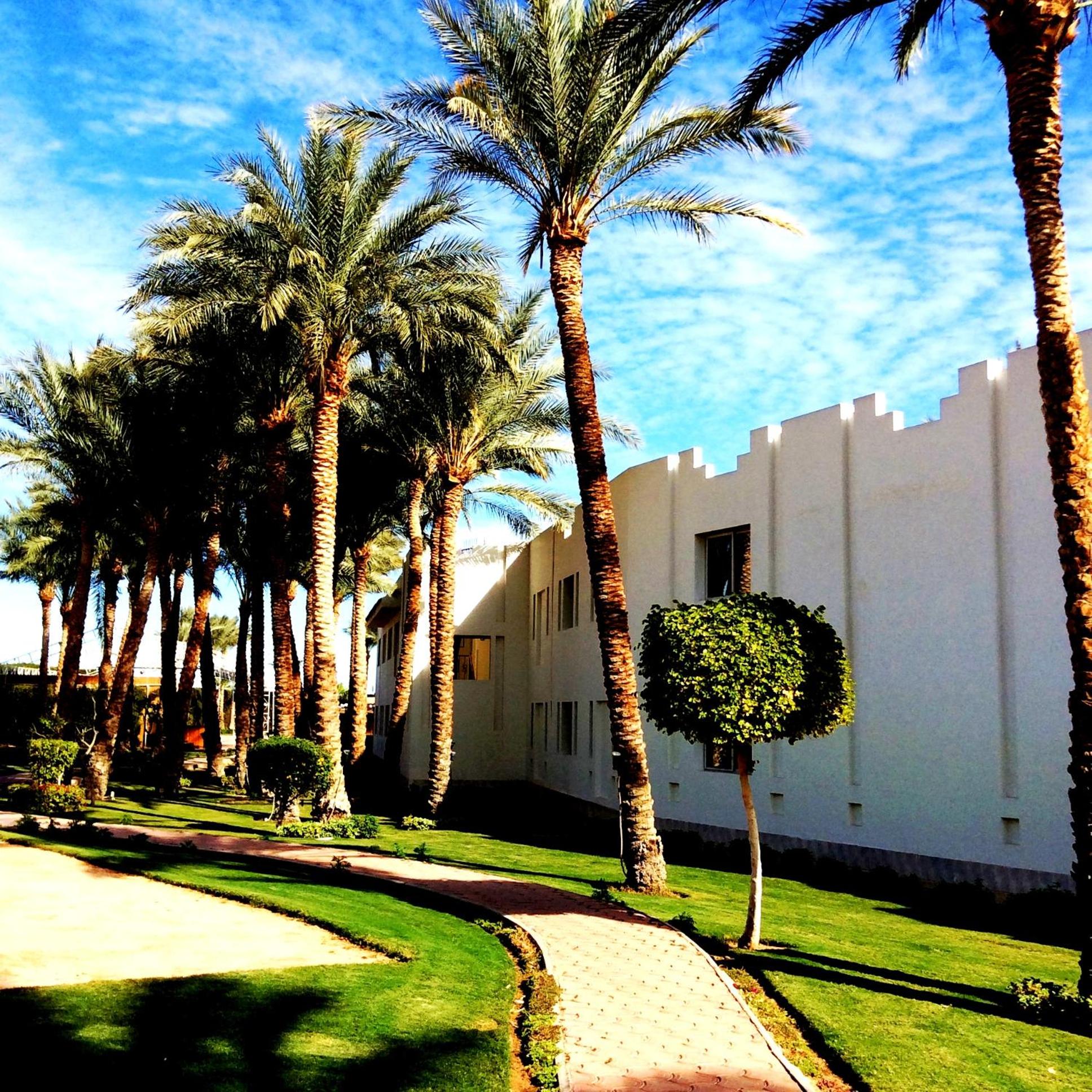 Xperience St. George Sharm El Sheikh — photo 67