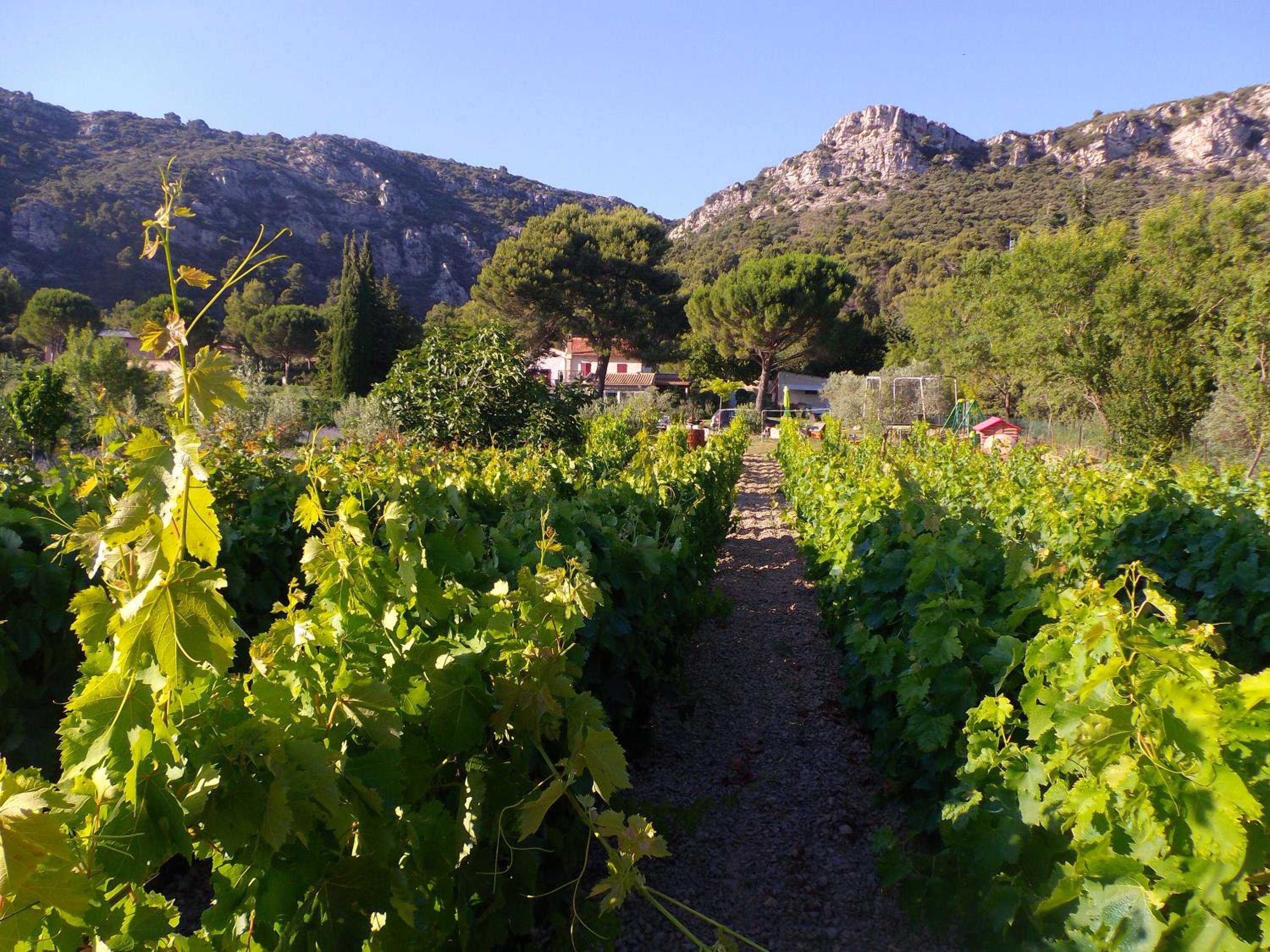 Au Havre De Paix sainte victoire vauvenargues