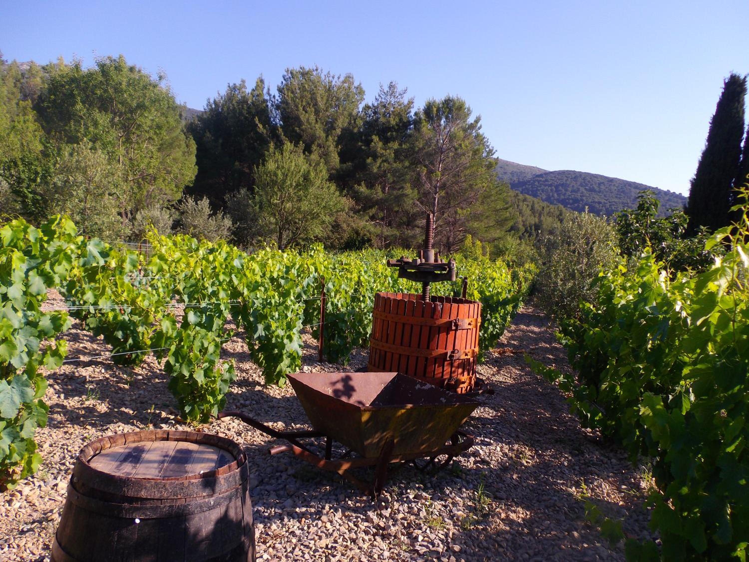 Au Havre De Paix sainte victoire vauvenargues