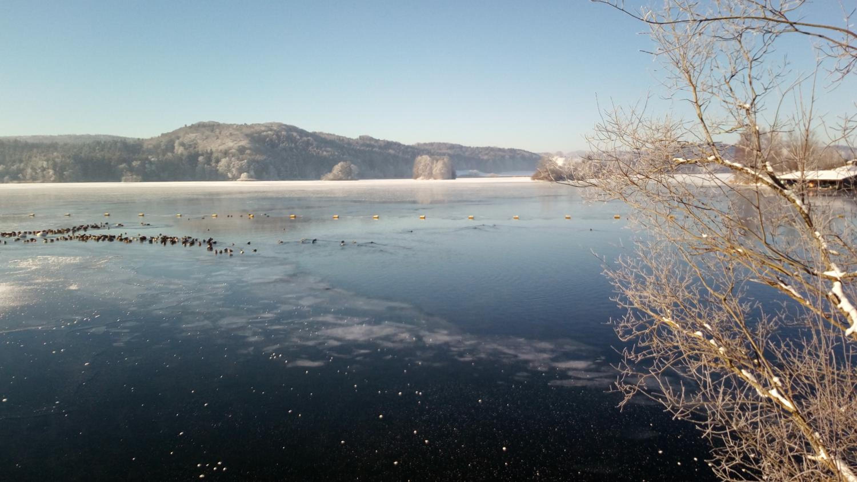 Ferienwohnung Elisabeth view 3