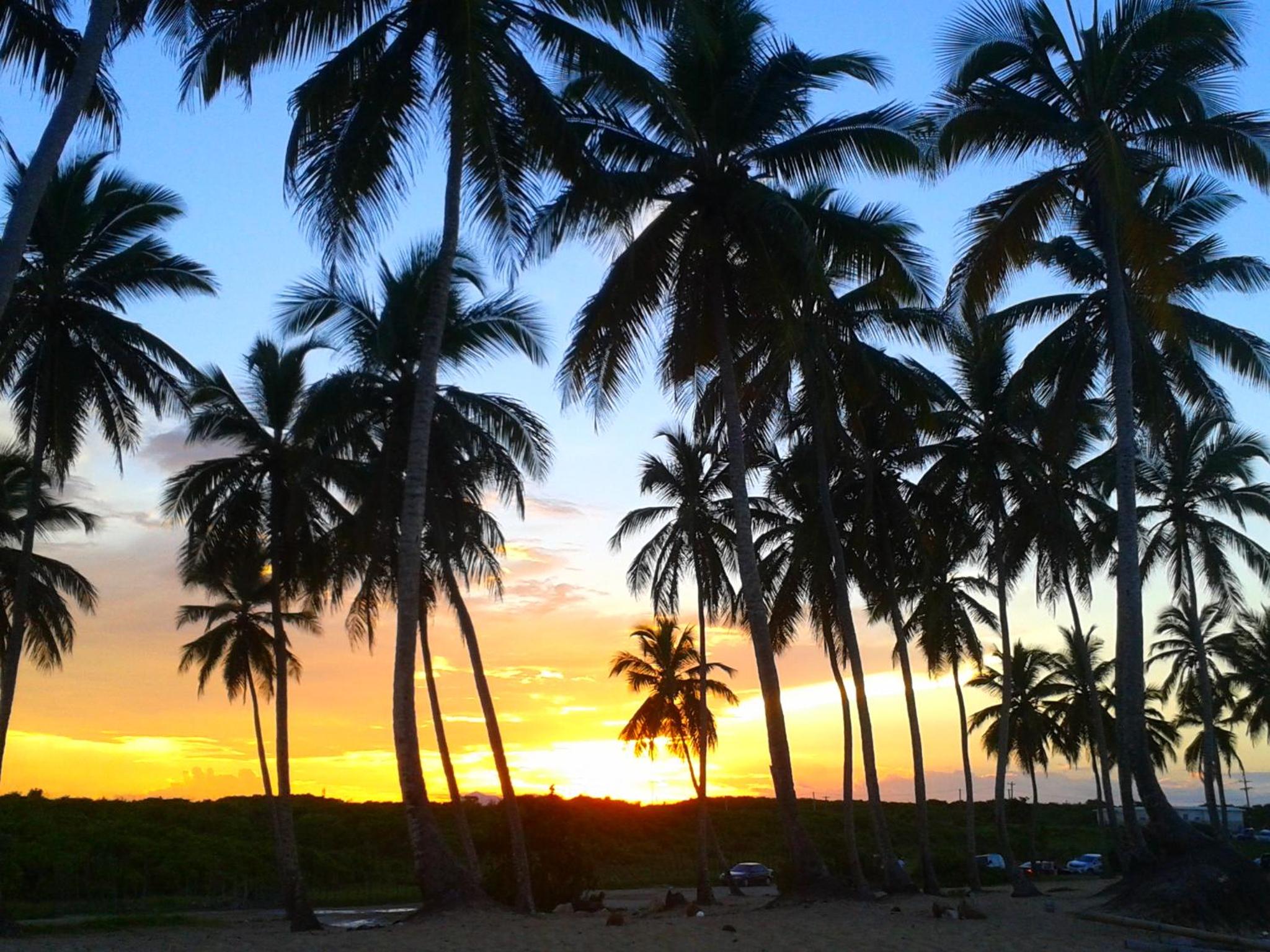Riviera Punta Cana Eco Travelers