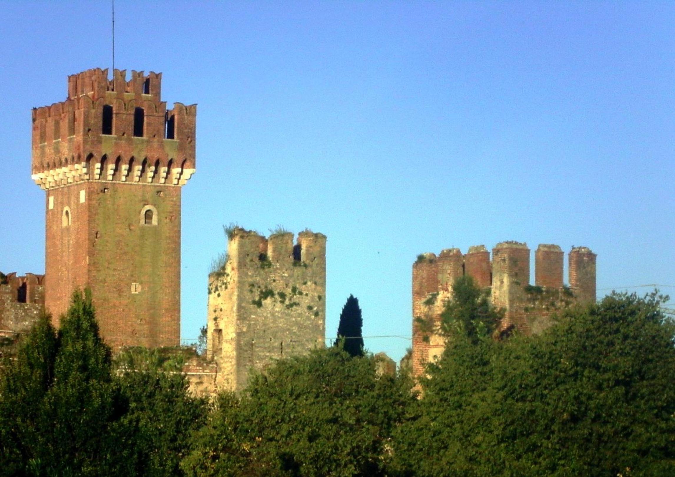 Photo 25