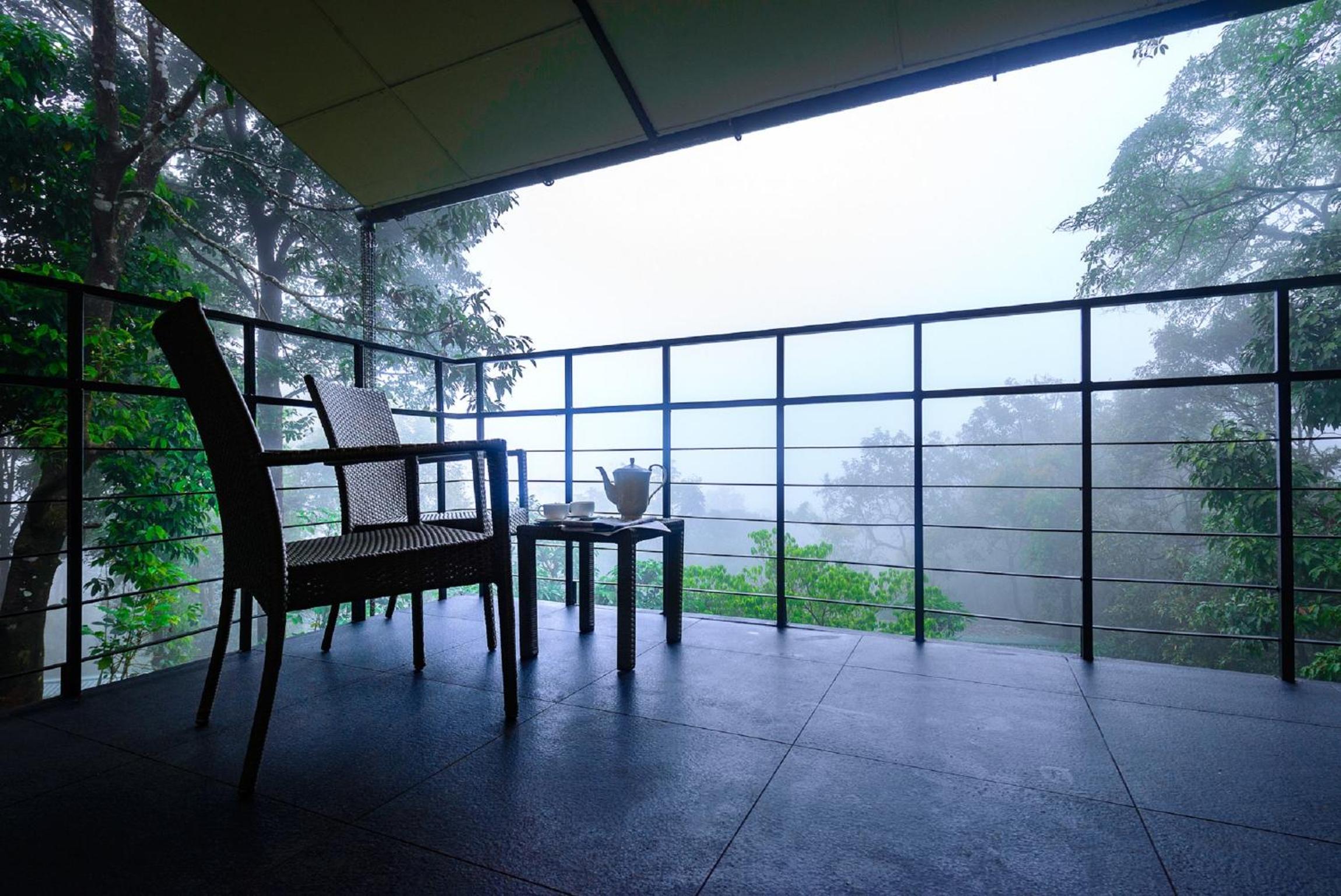 Wayanad Wild - A CGH Earth Experience