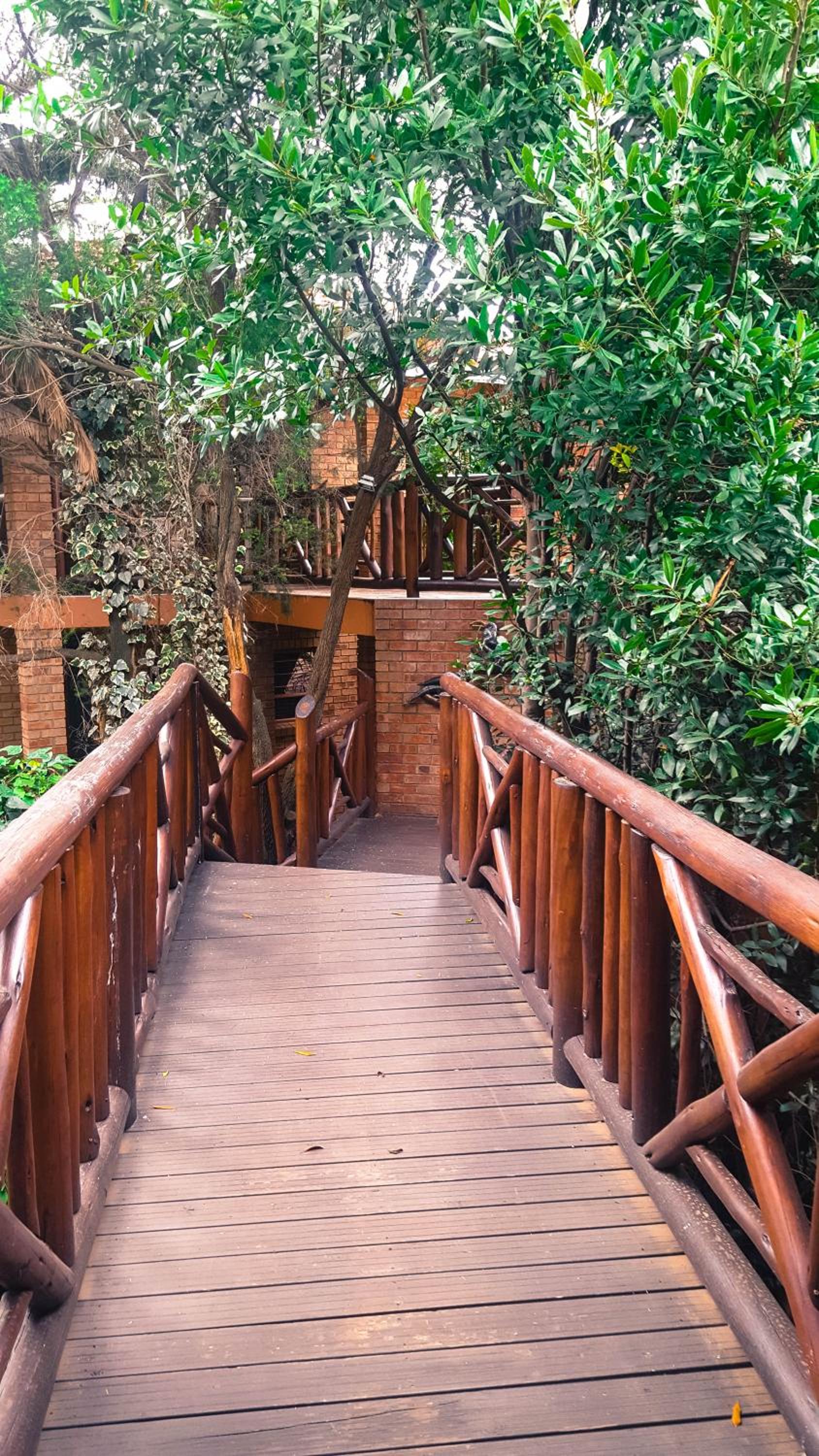 Aark Guest Lodge