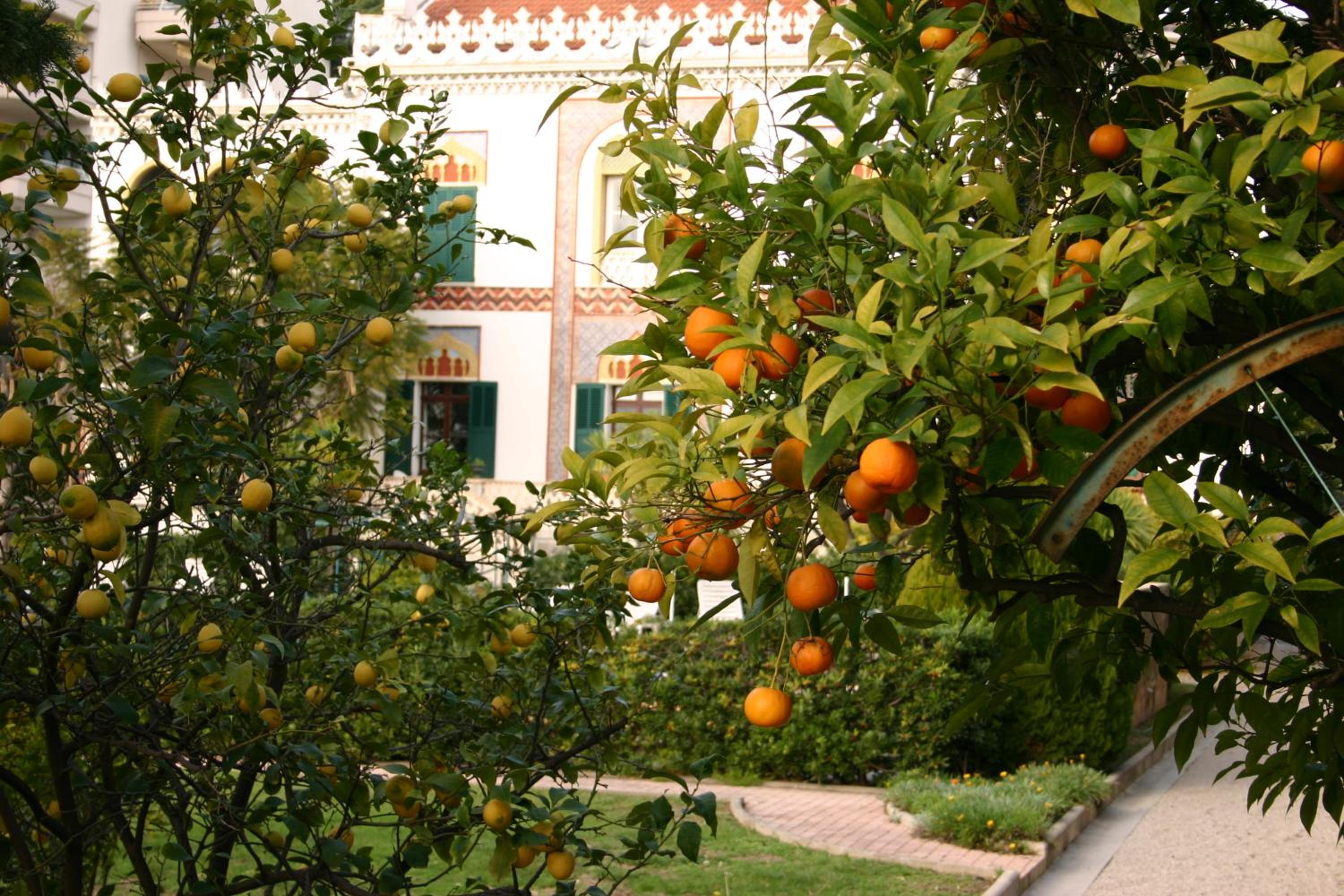 Villa Belle Rive view 5