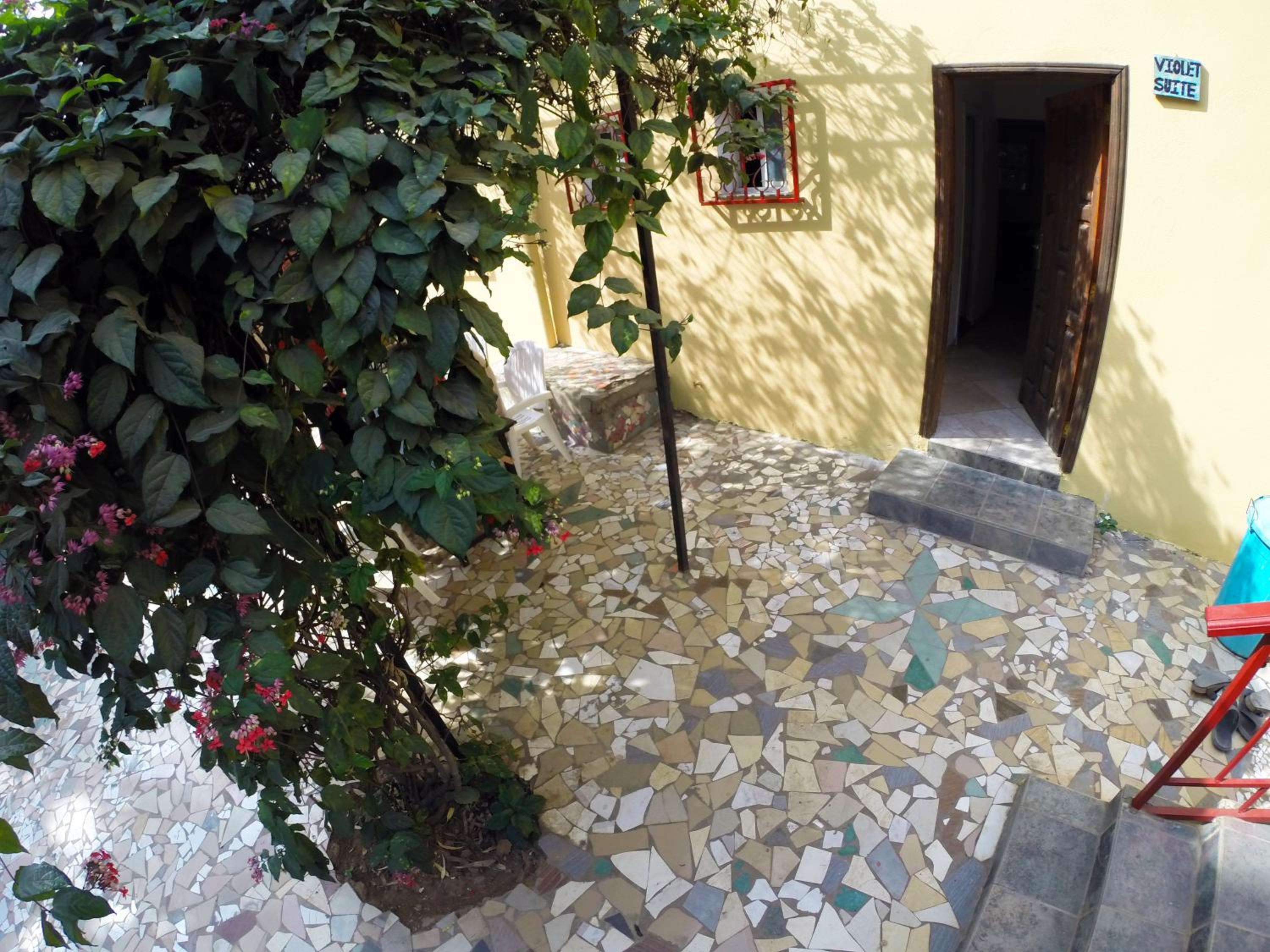 Photo 21