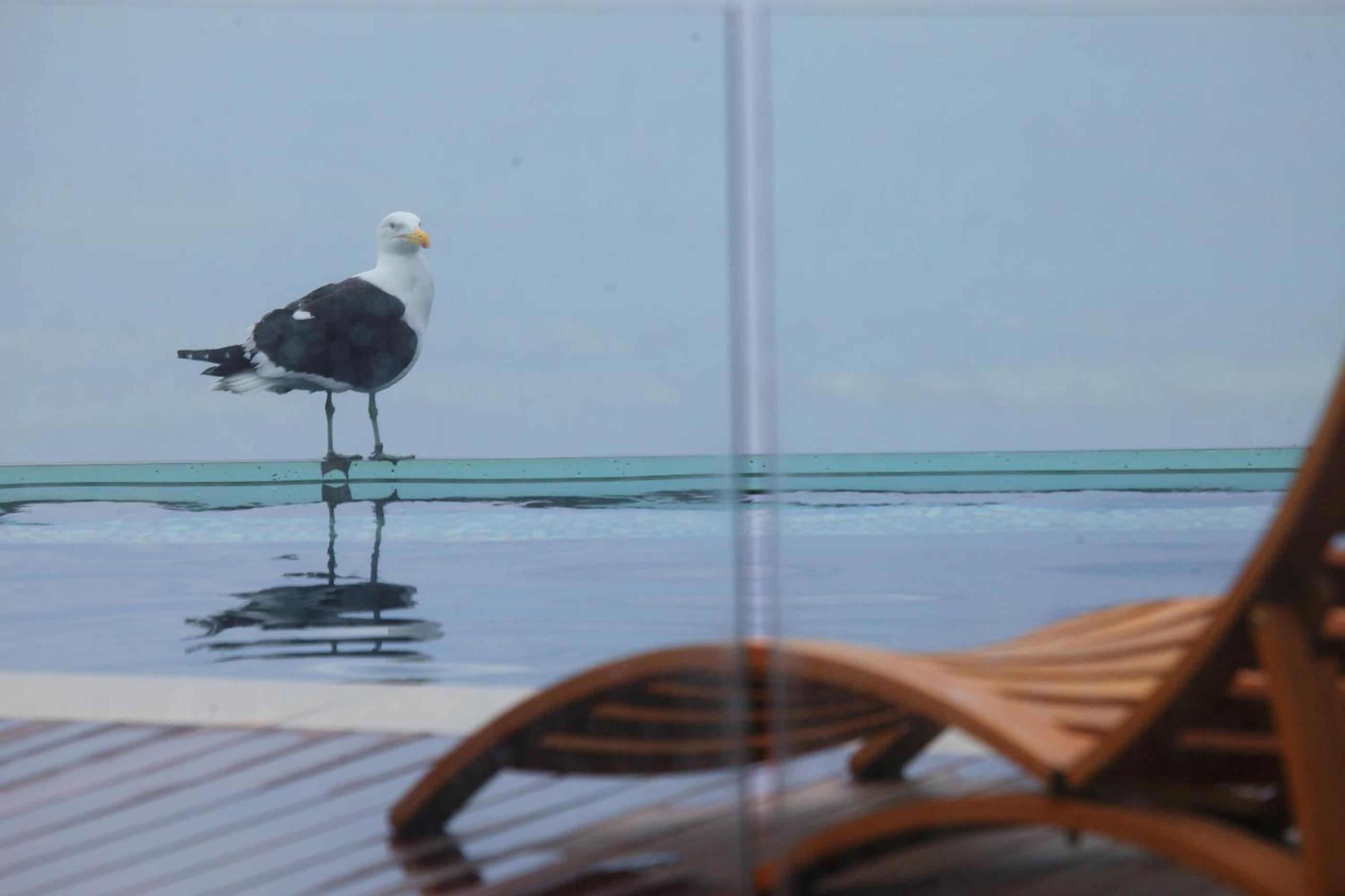 Periwinkle Lodge Guest House
