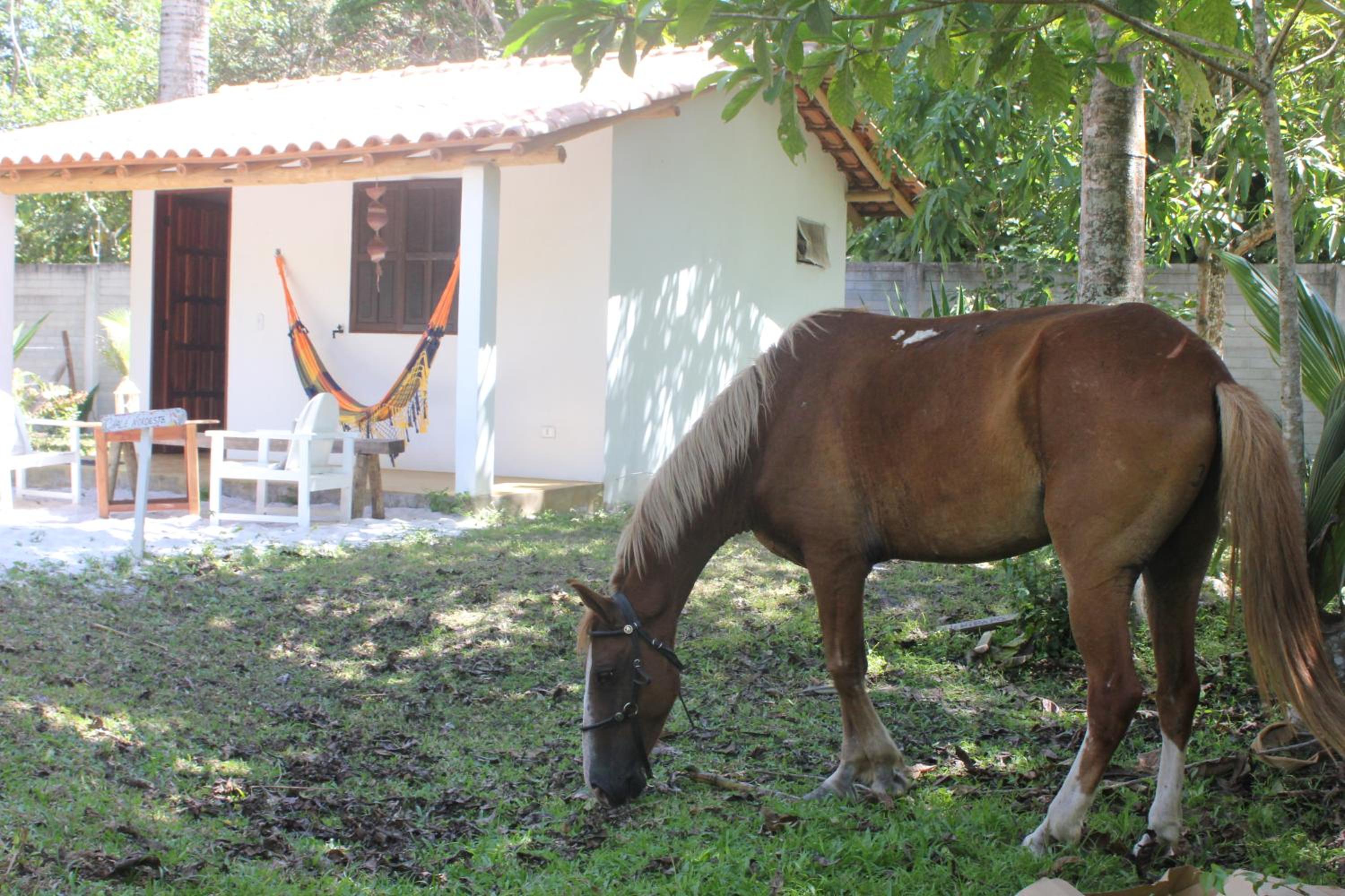 Pousada Vila Flor da Mata